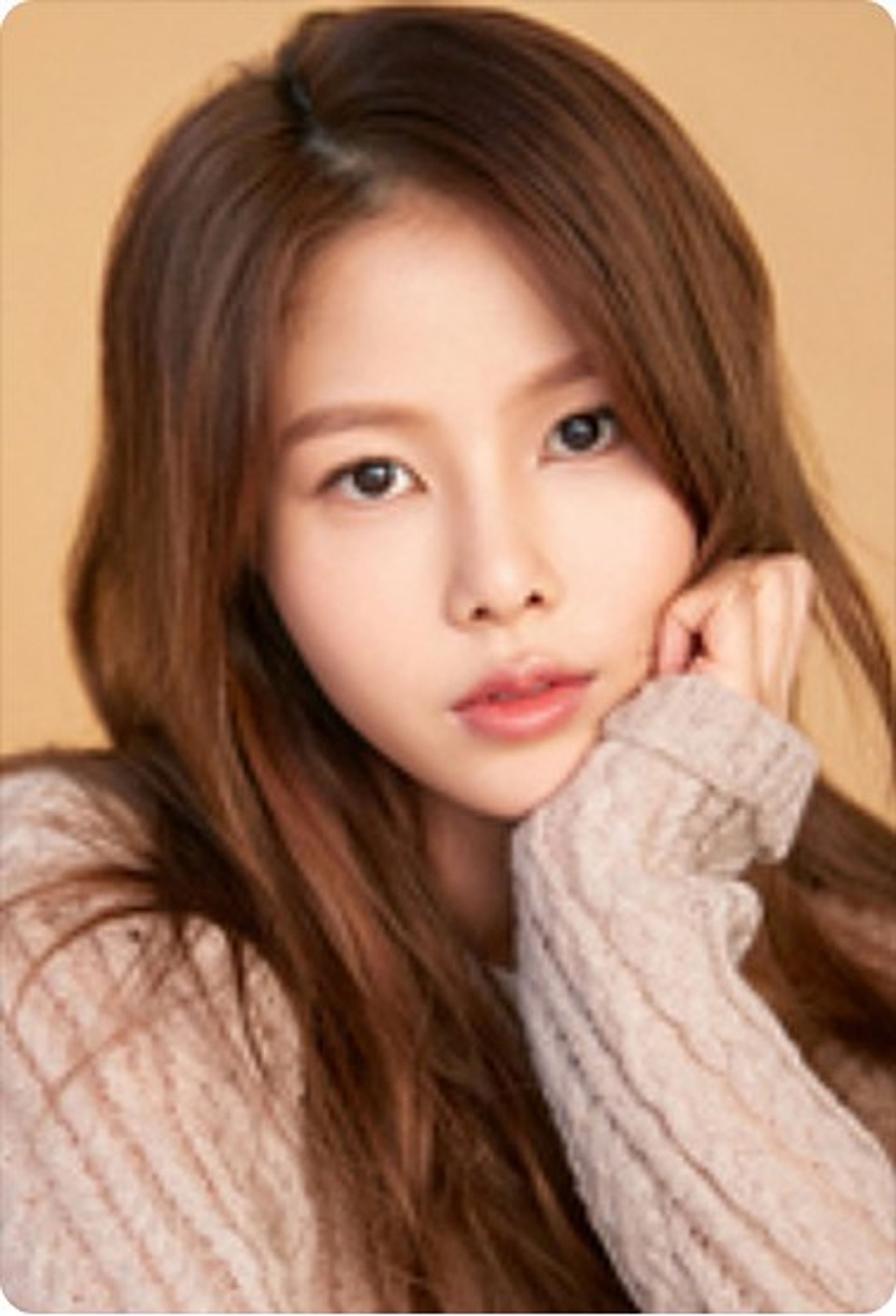 허은정