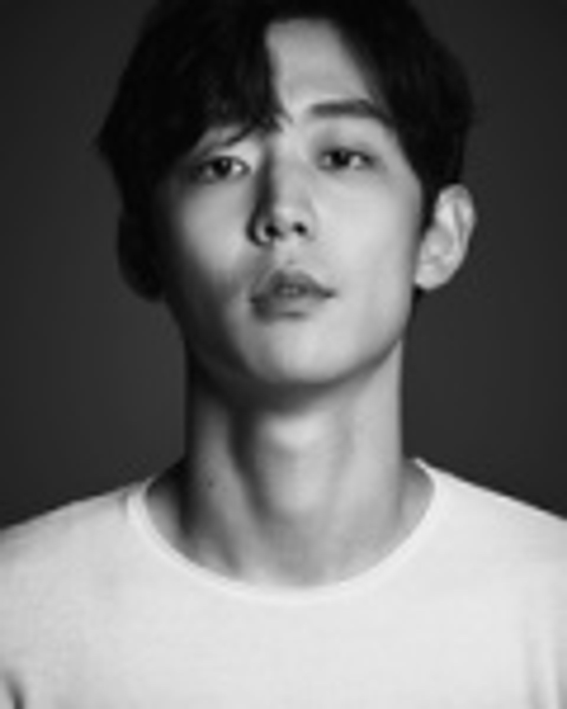 양지일