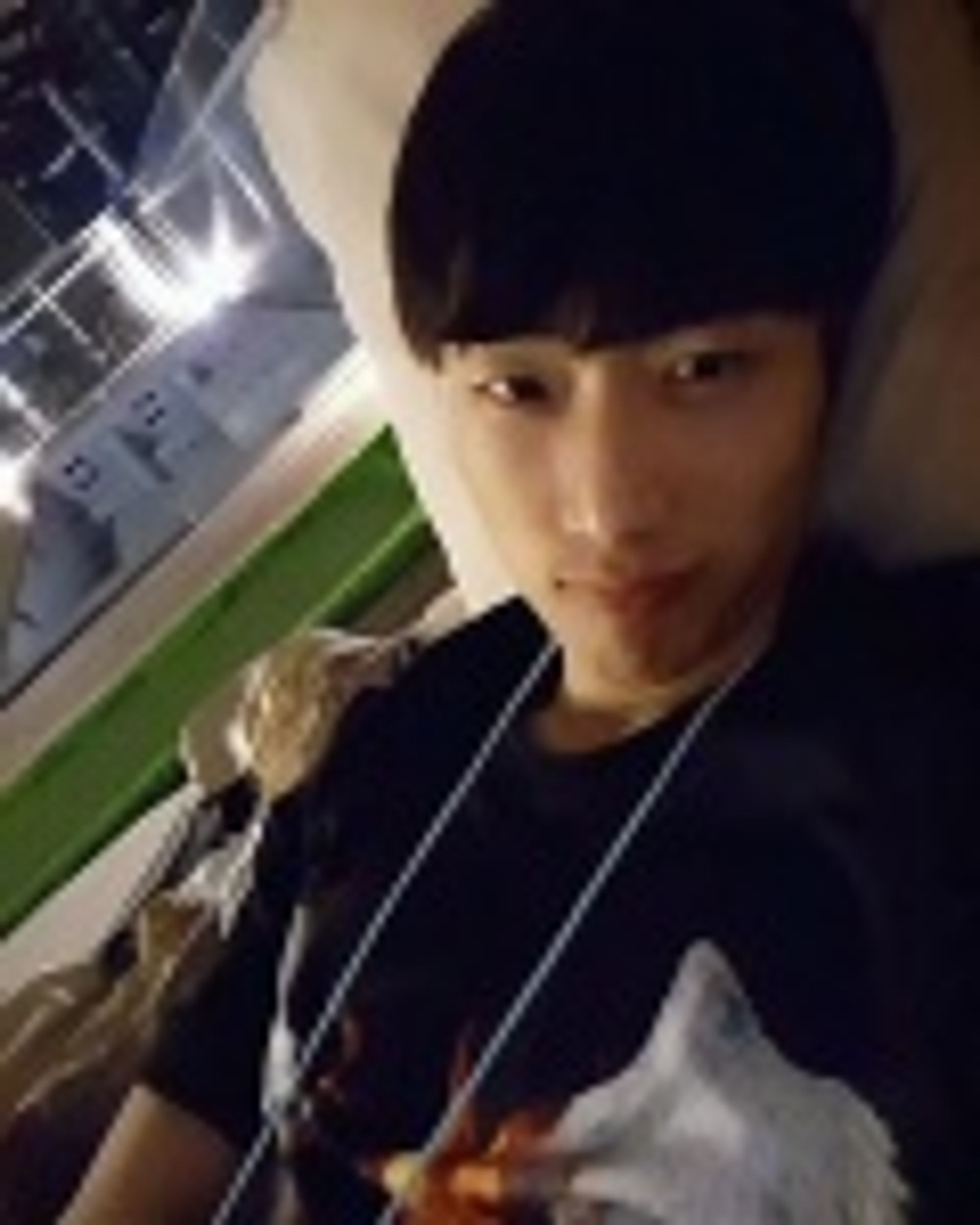 도모세