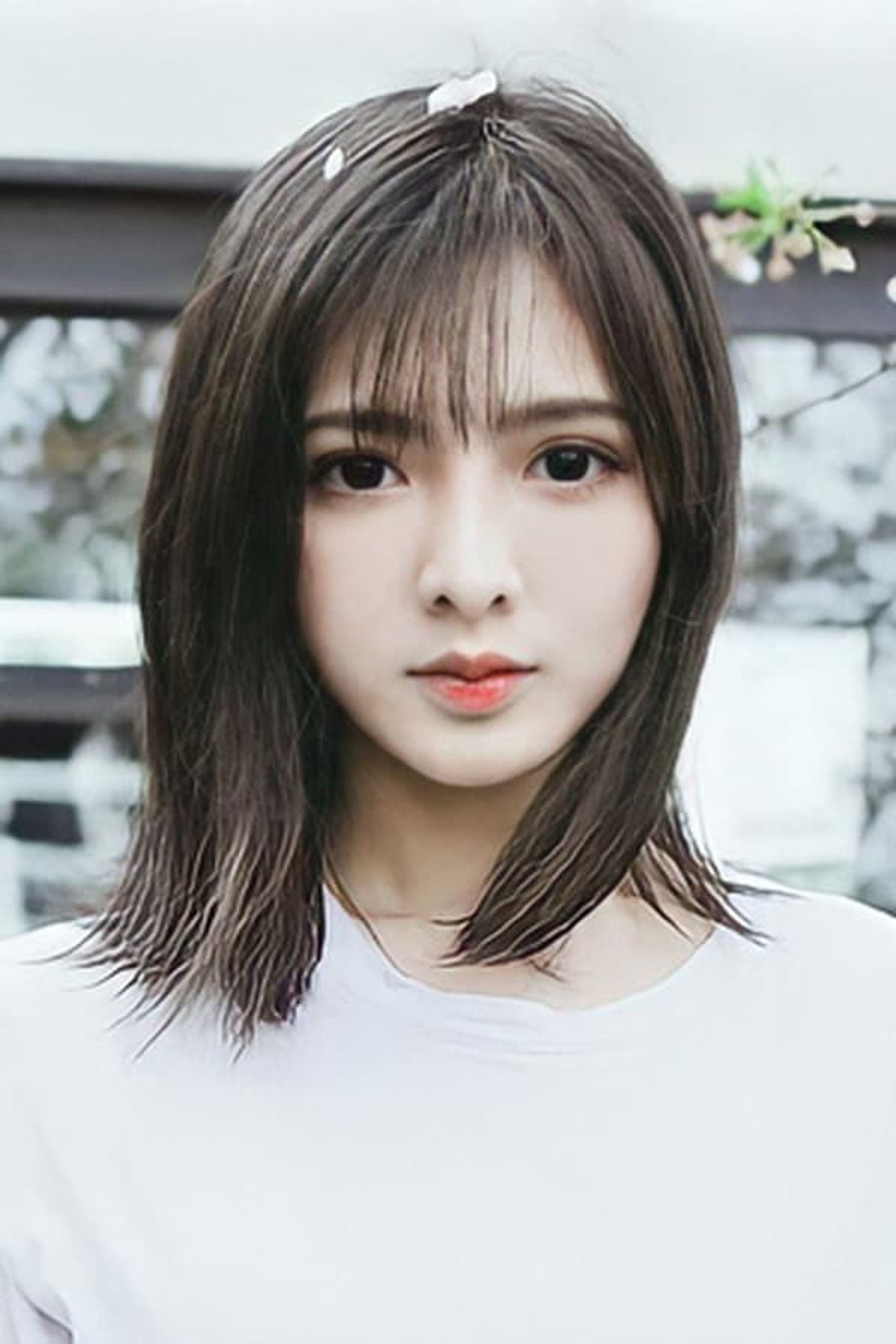 럭시 첸