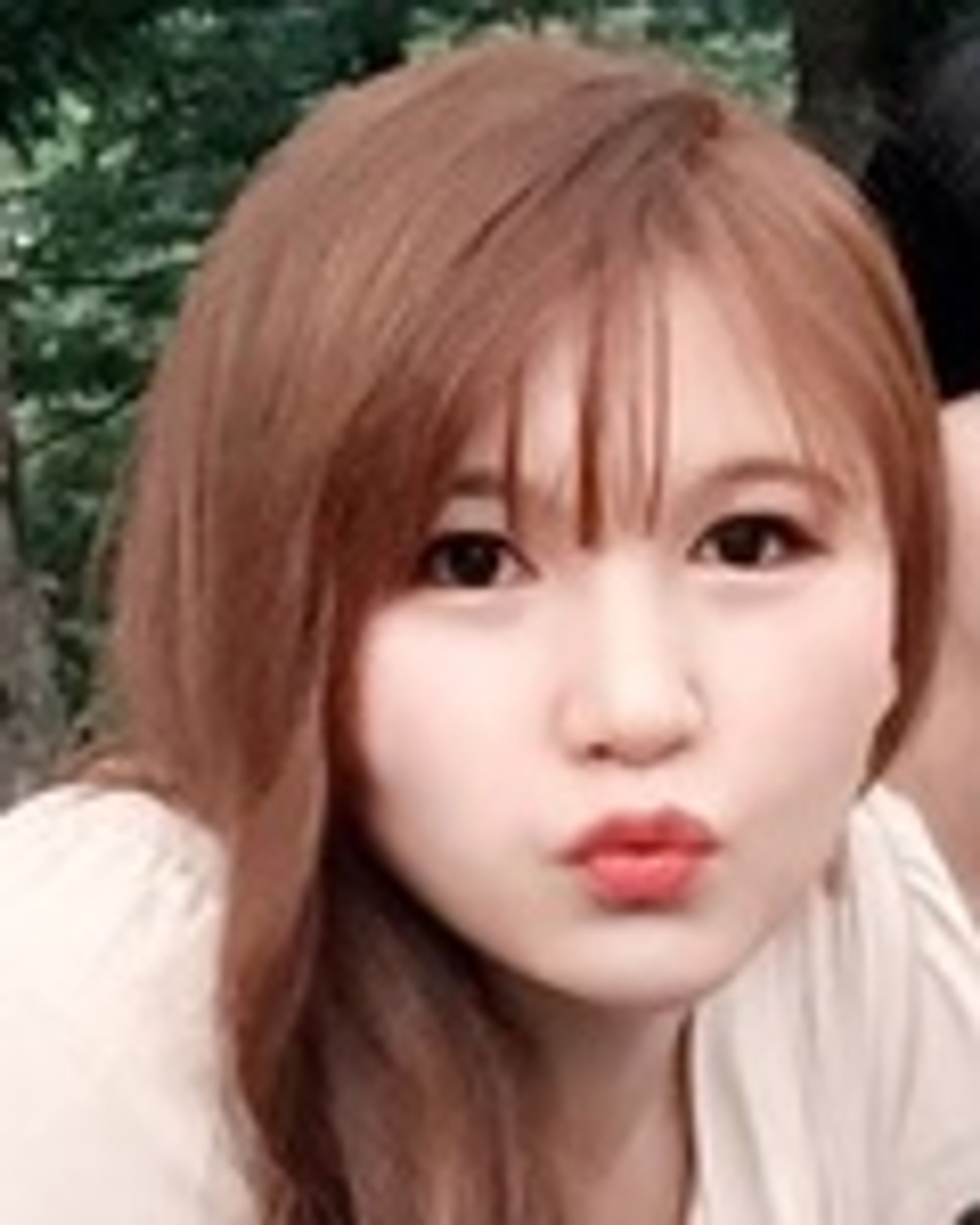 안가현