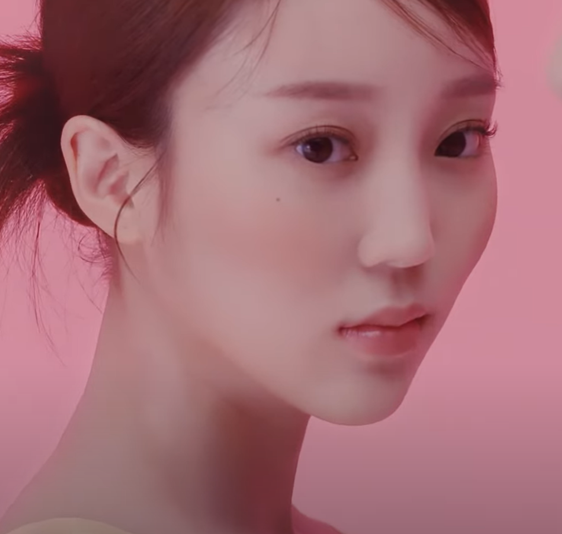 백장미