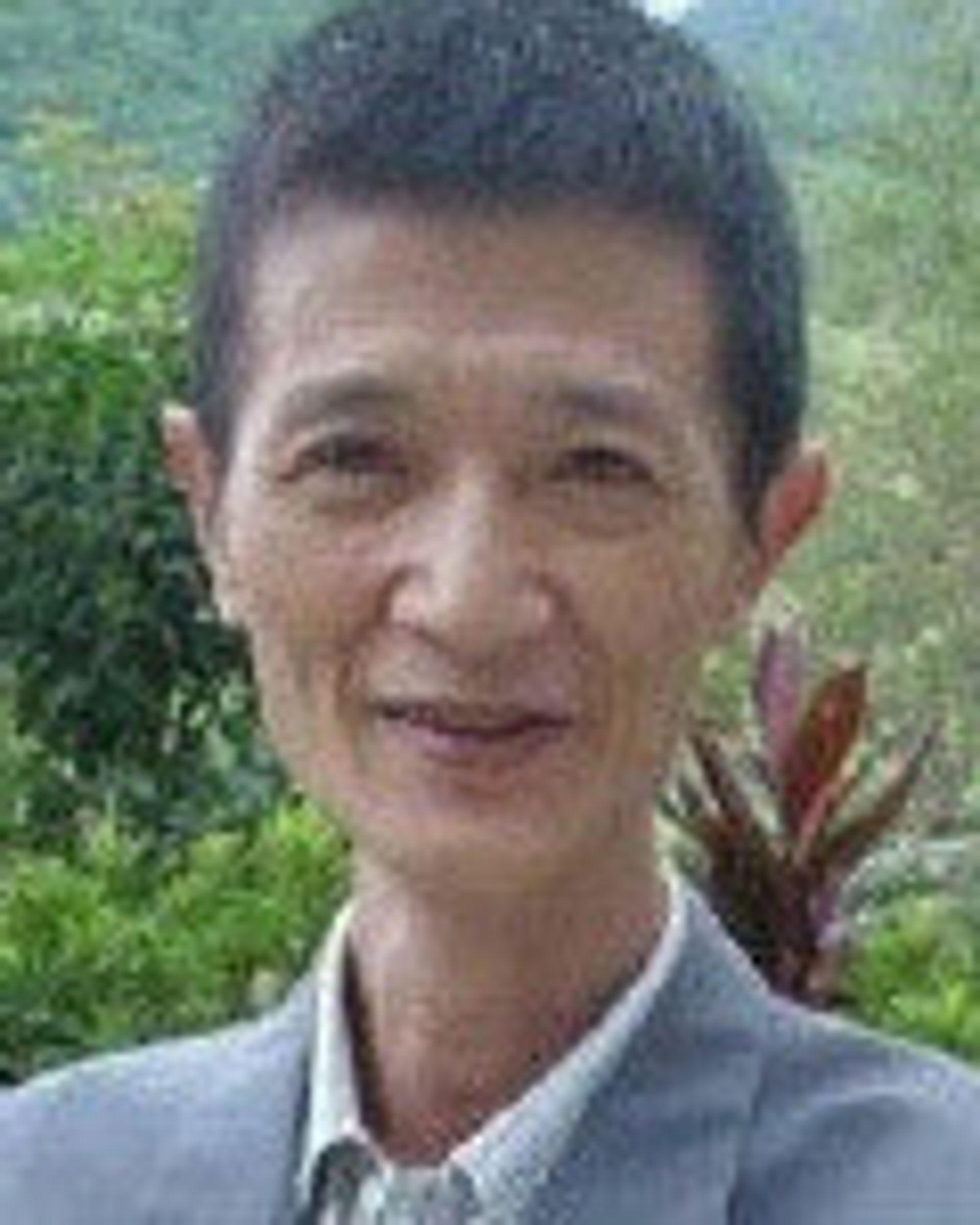 진박정