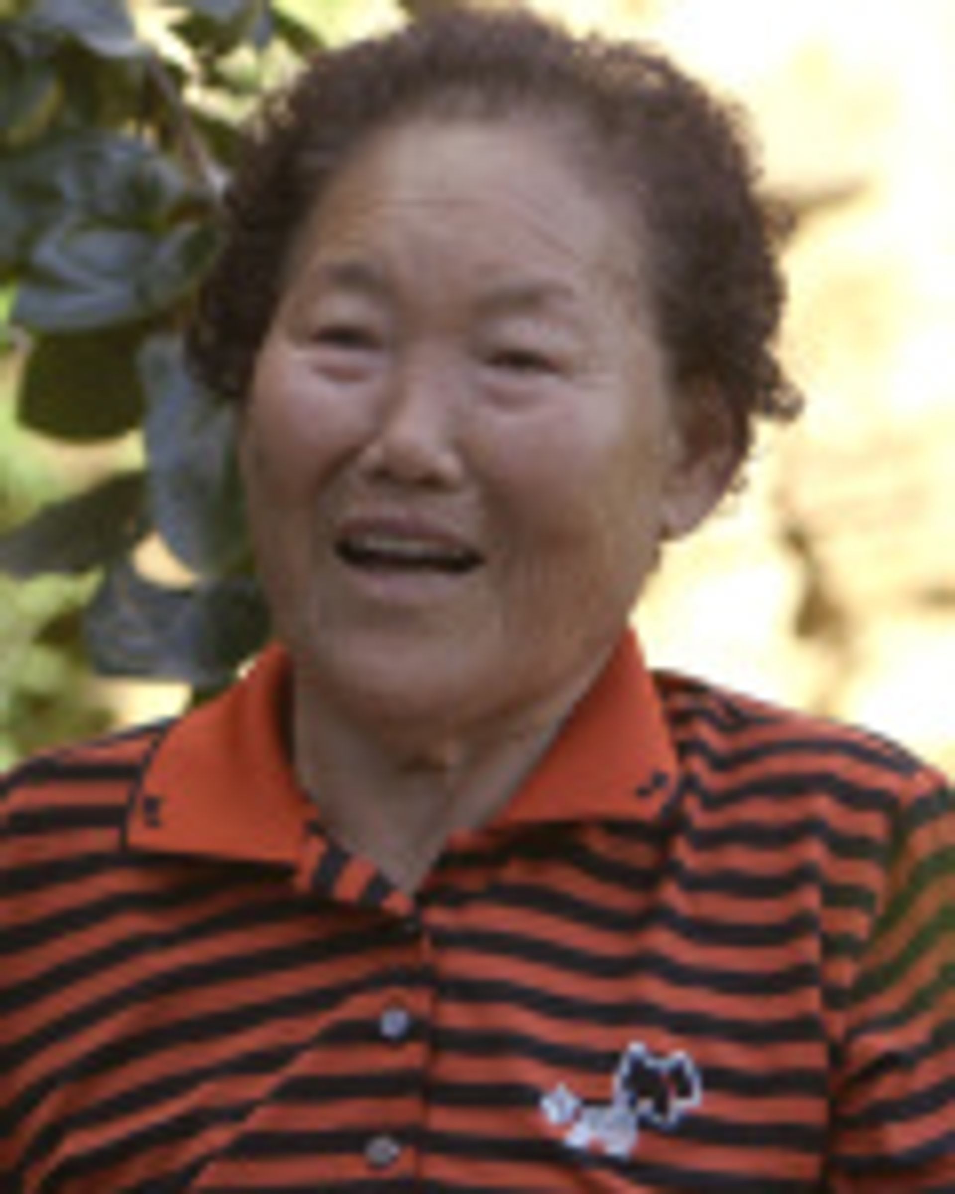 박복형