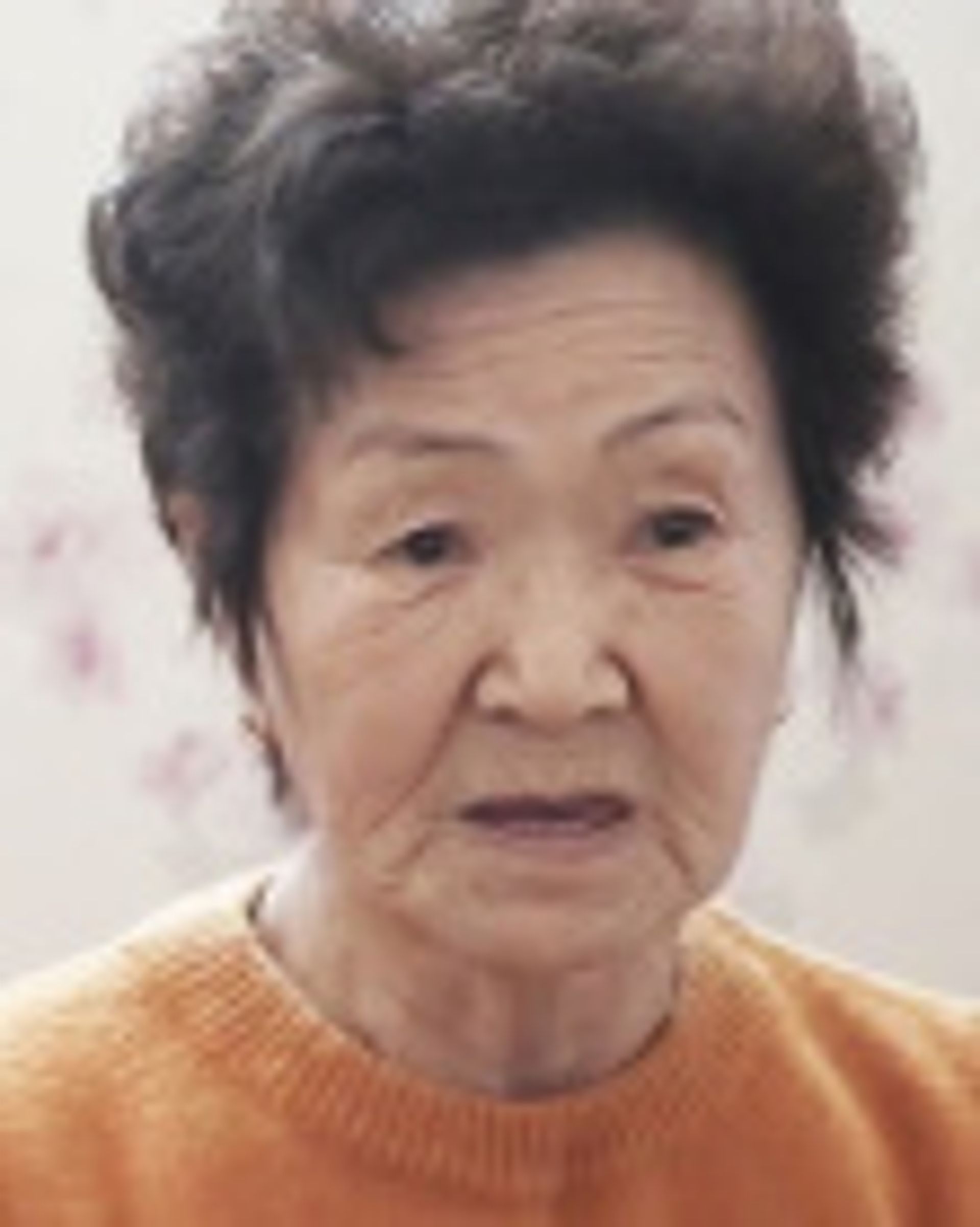 정화자