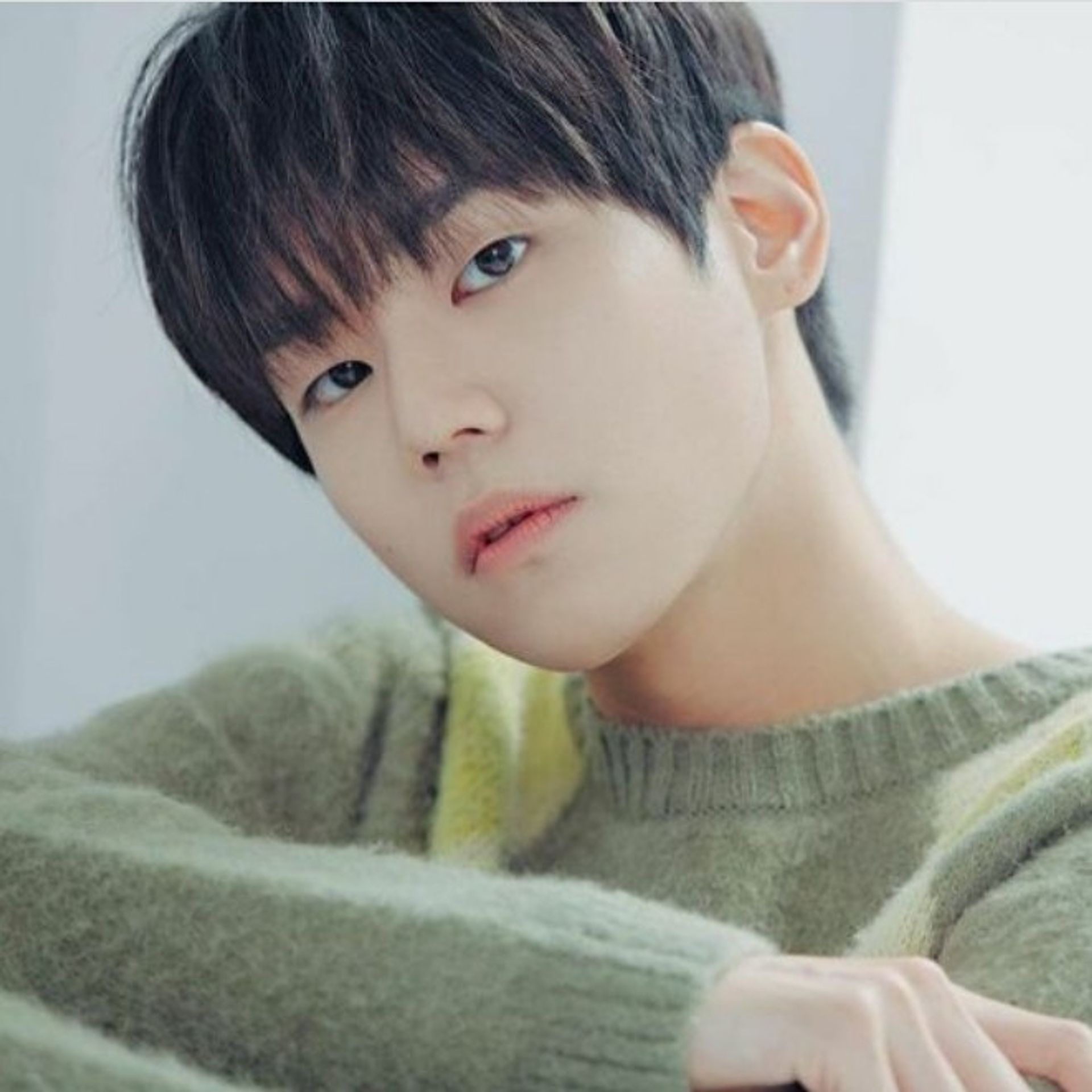 신규현