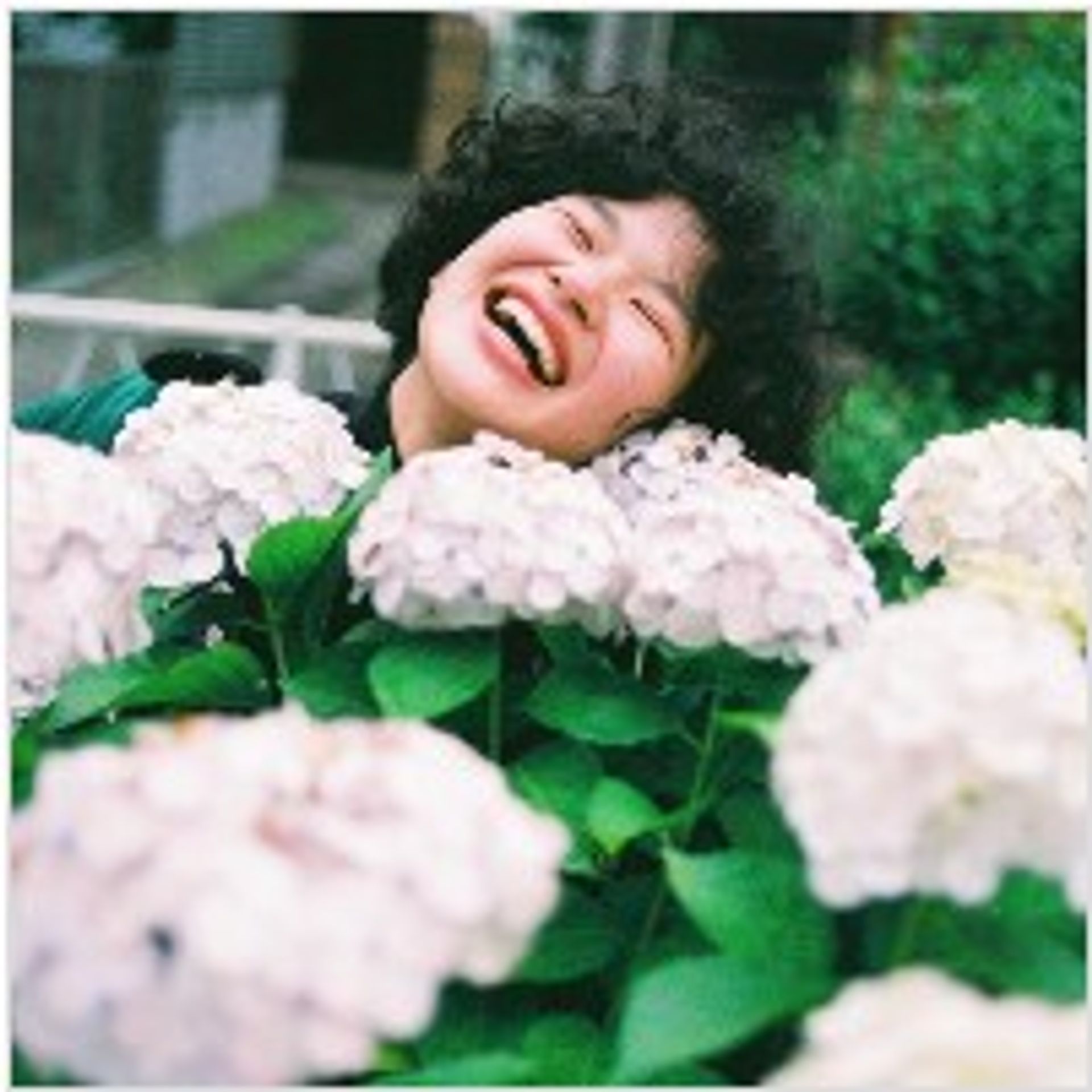 쿠사카 타마미