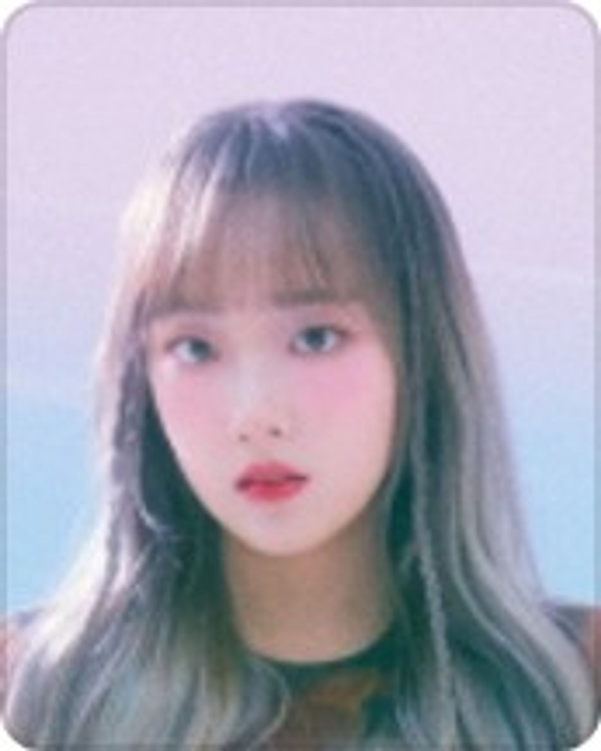 클로이