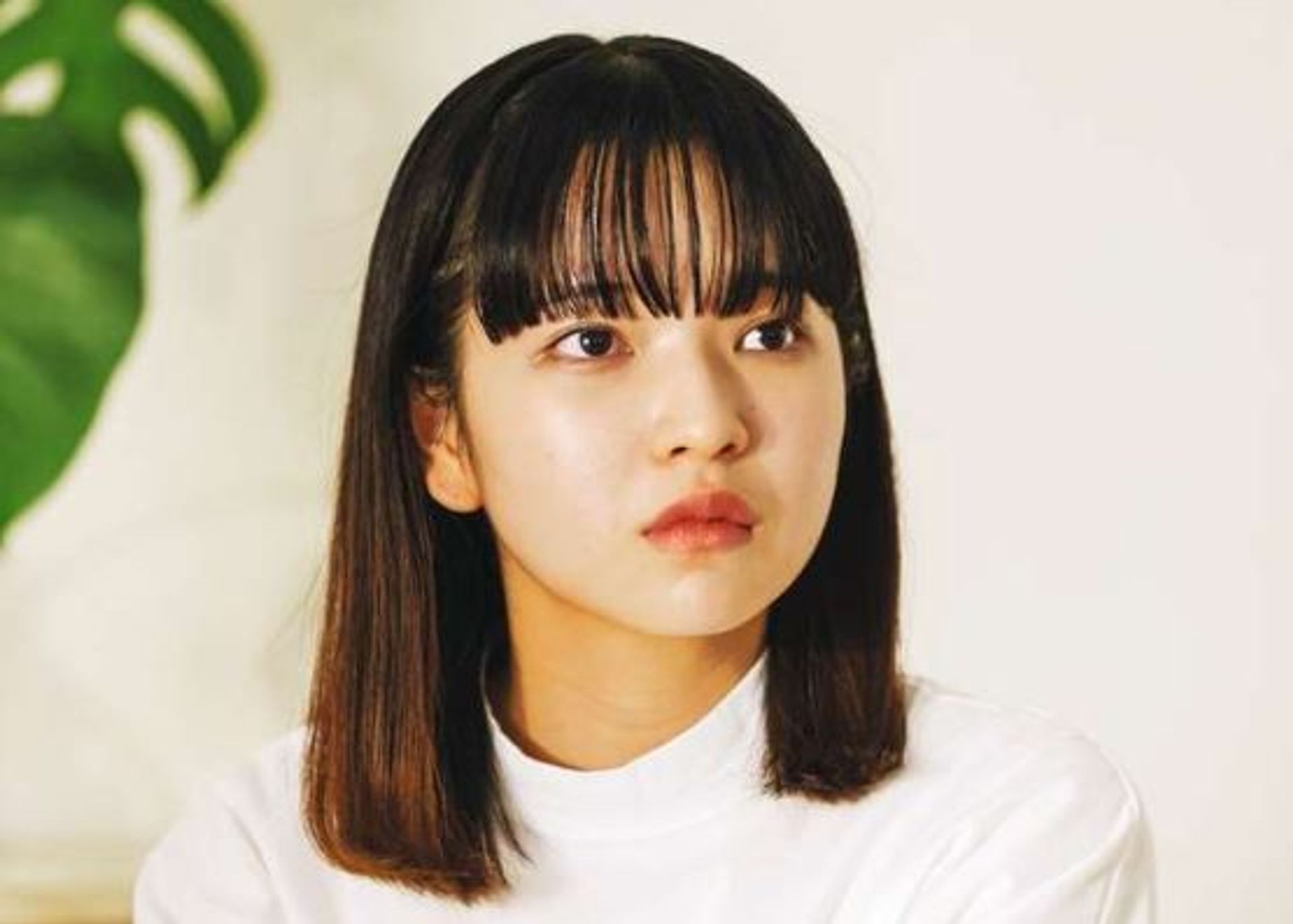 다나카 메이