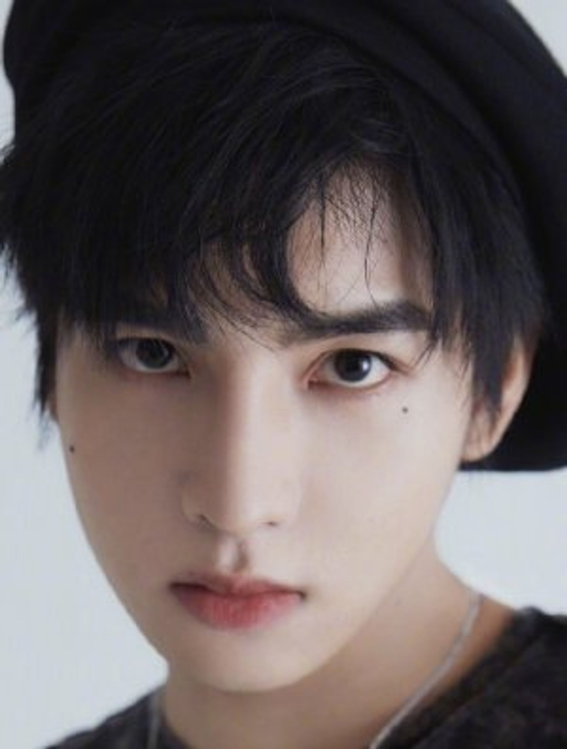 정번성