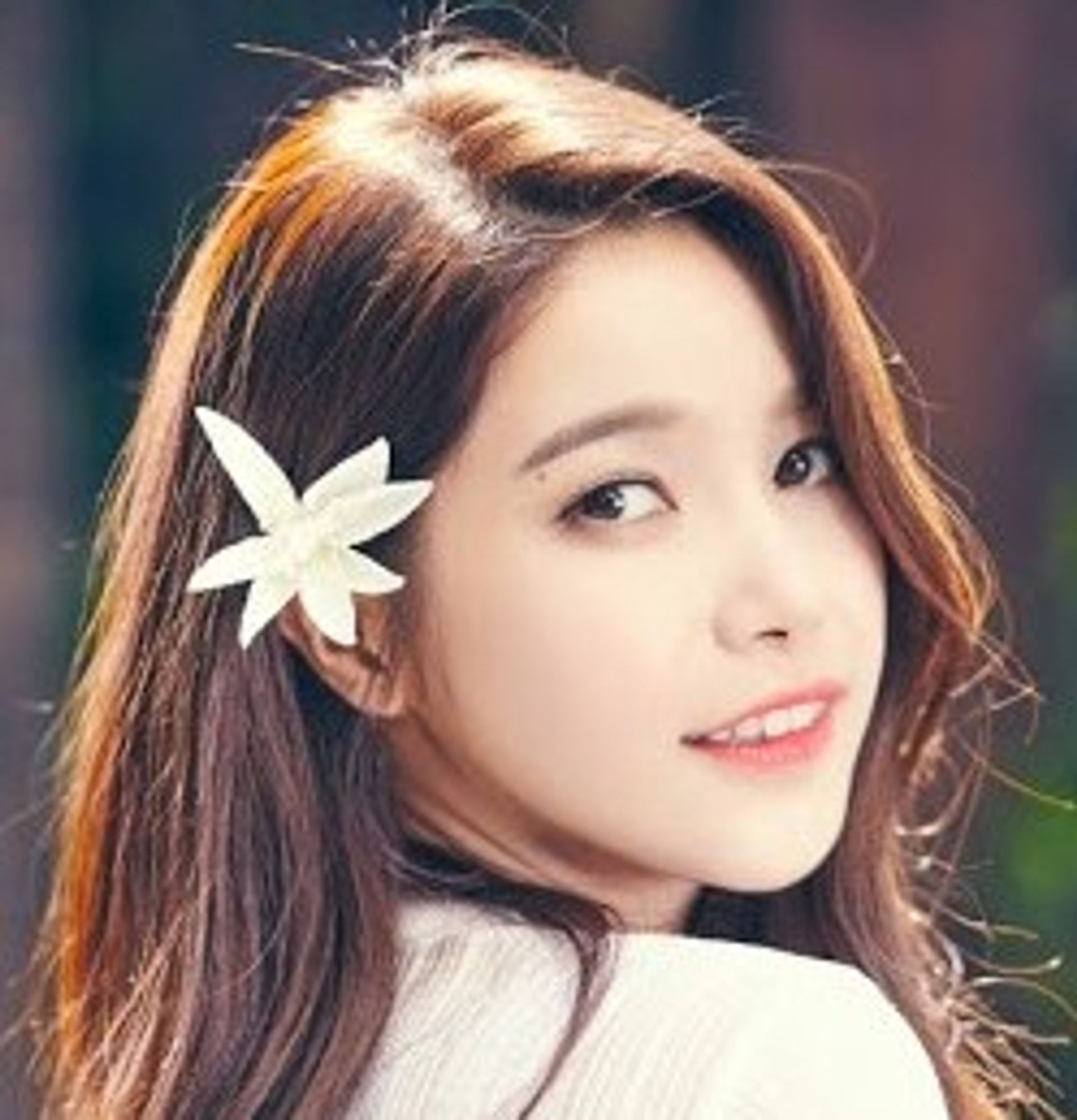 솔라