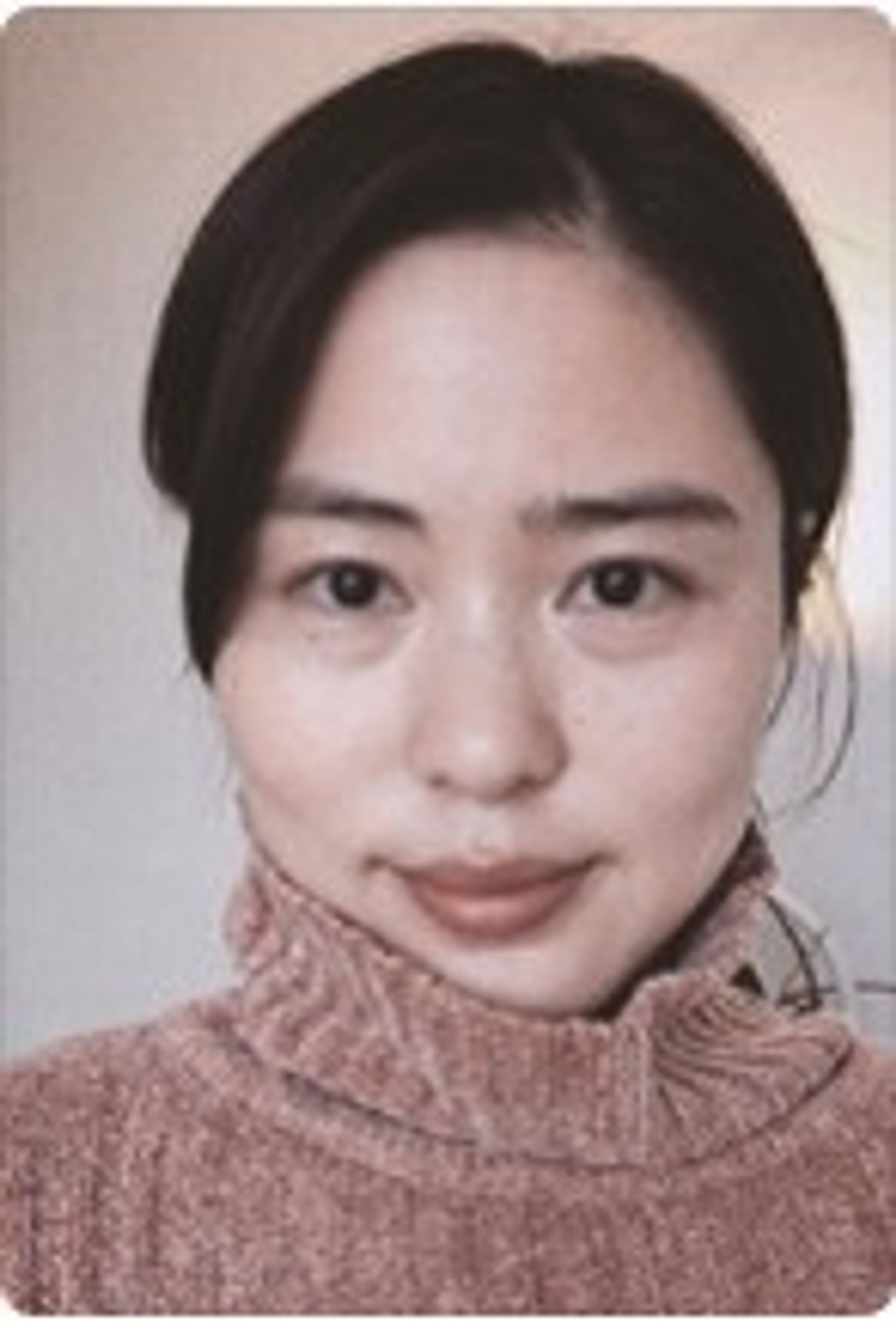 안선유