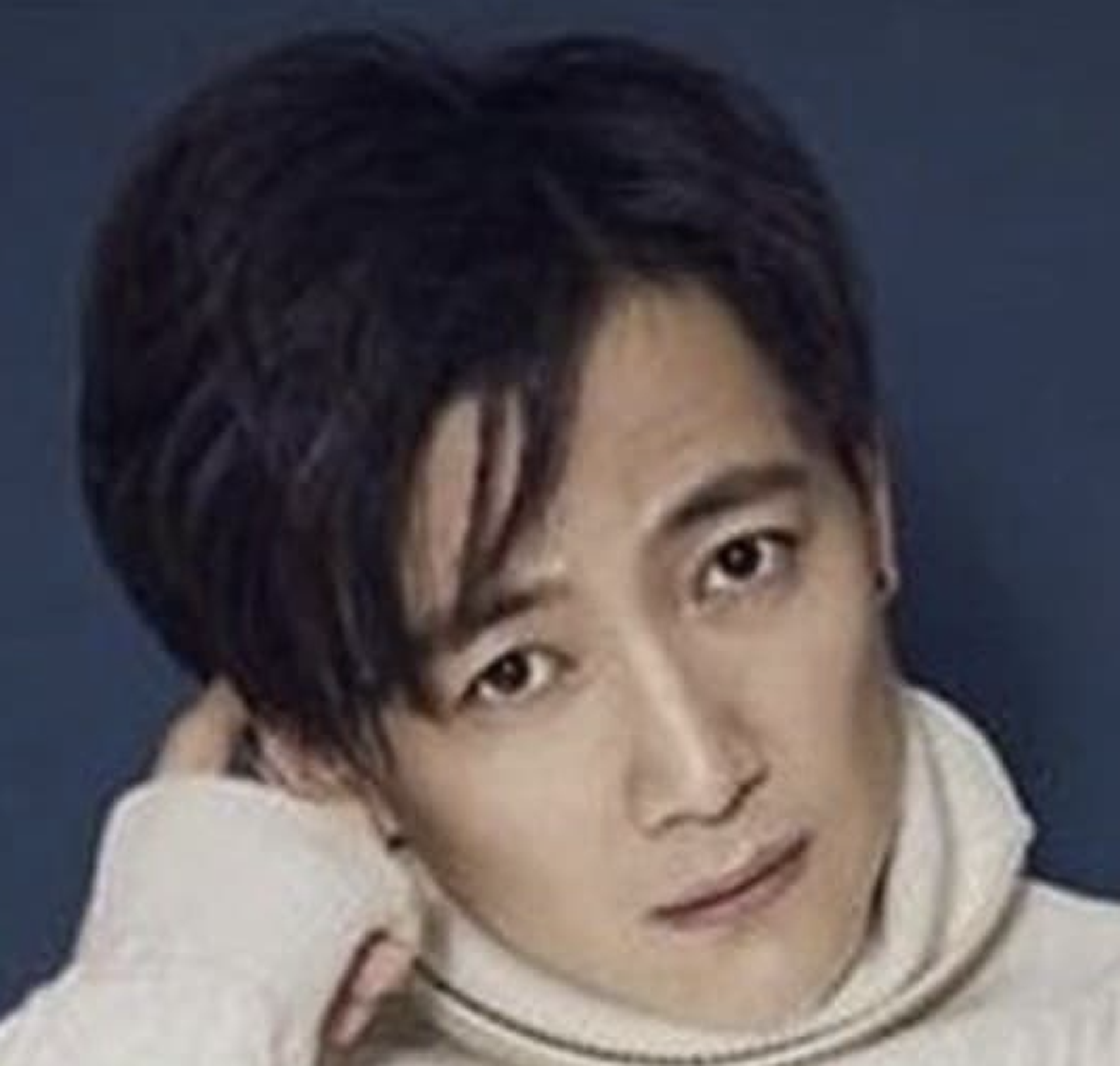 지가
