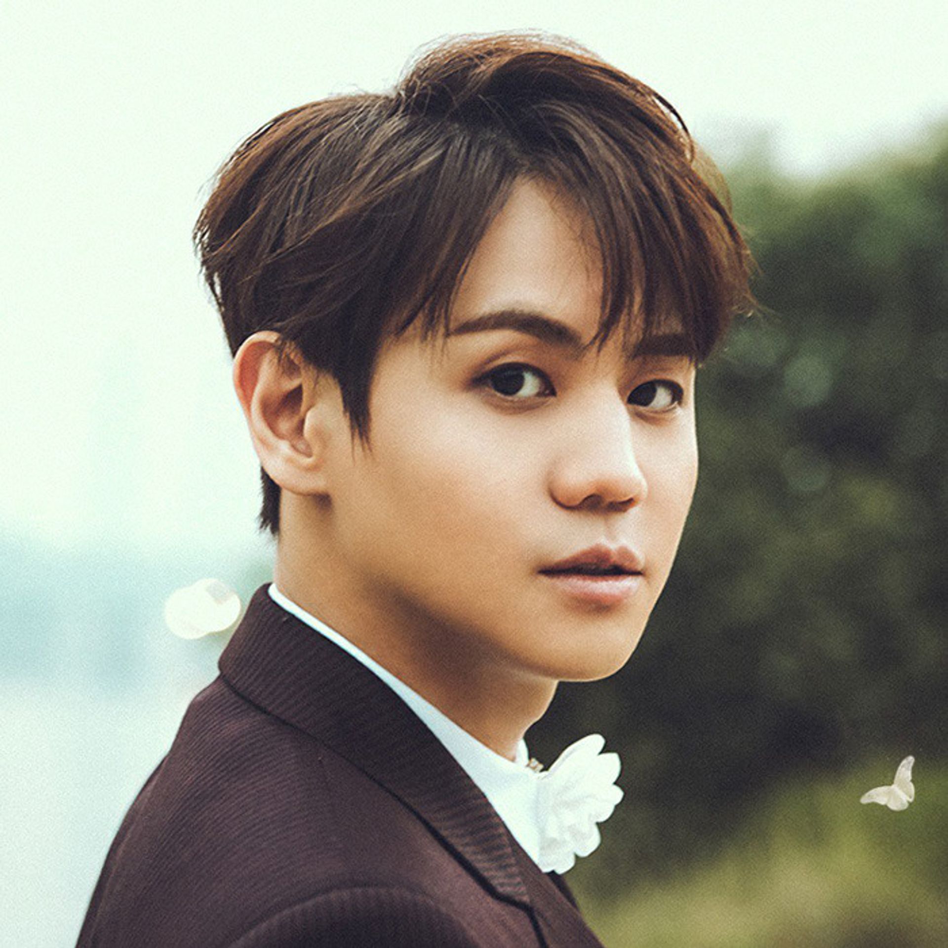 양요섭