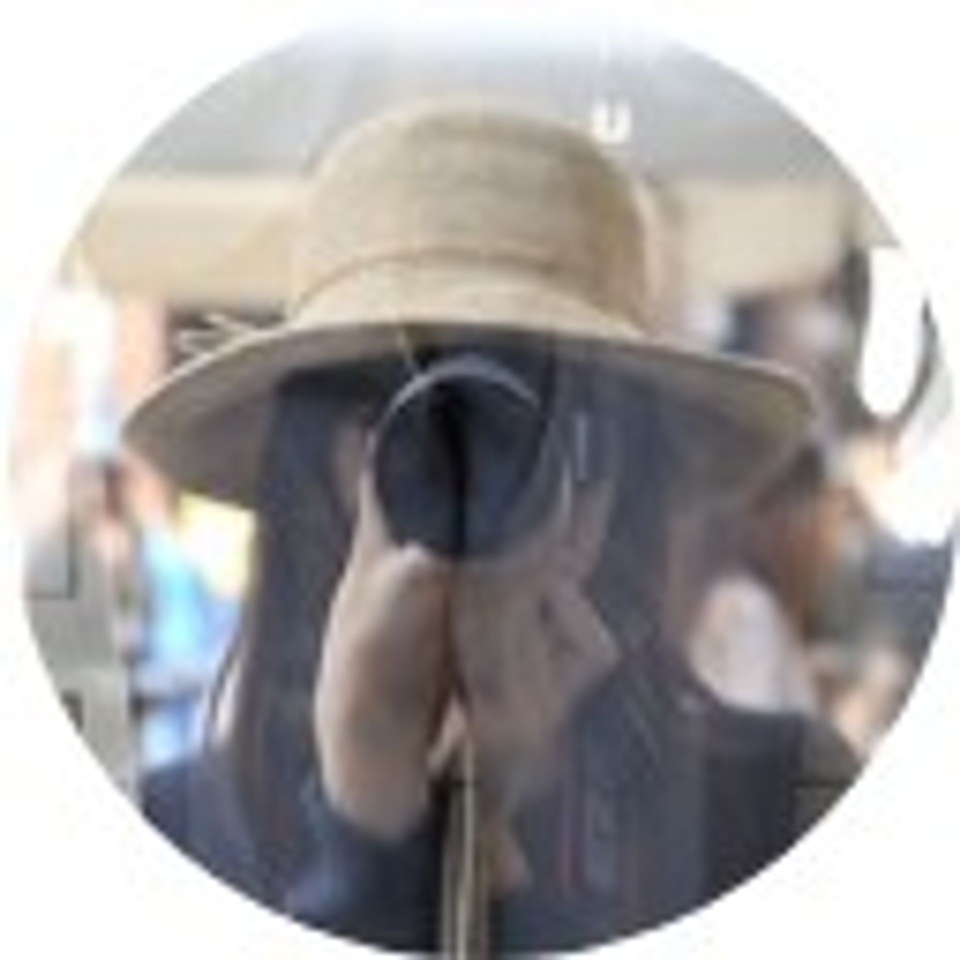 리톈청