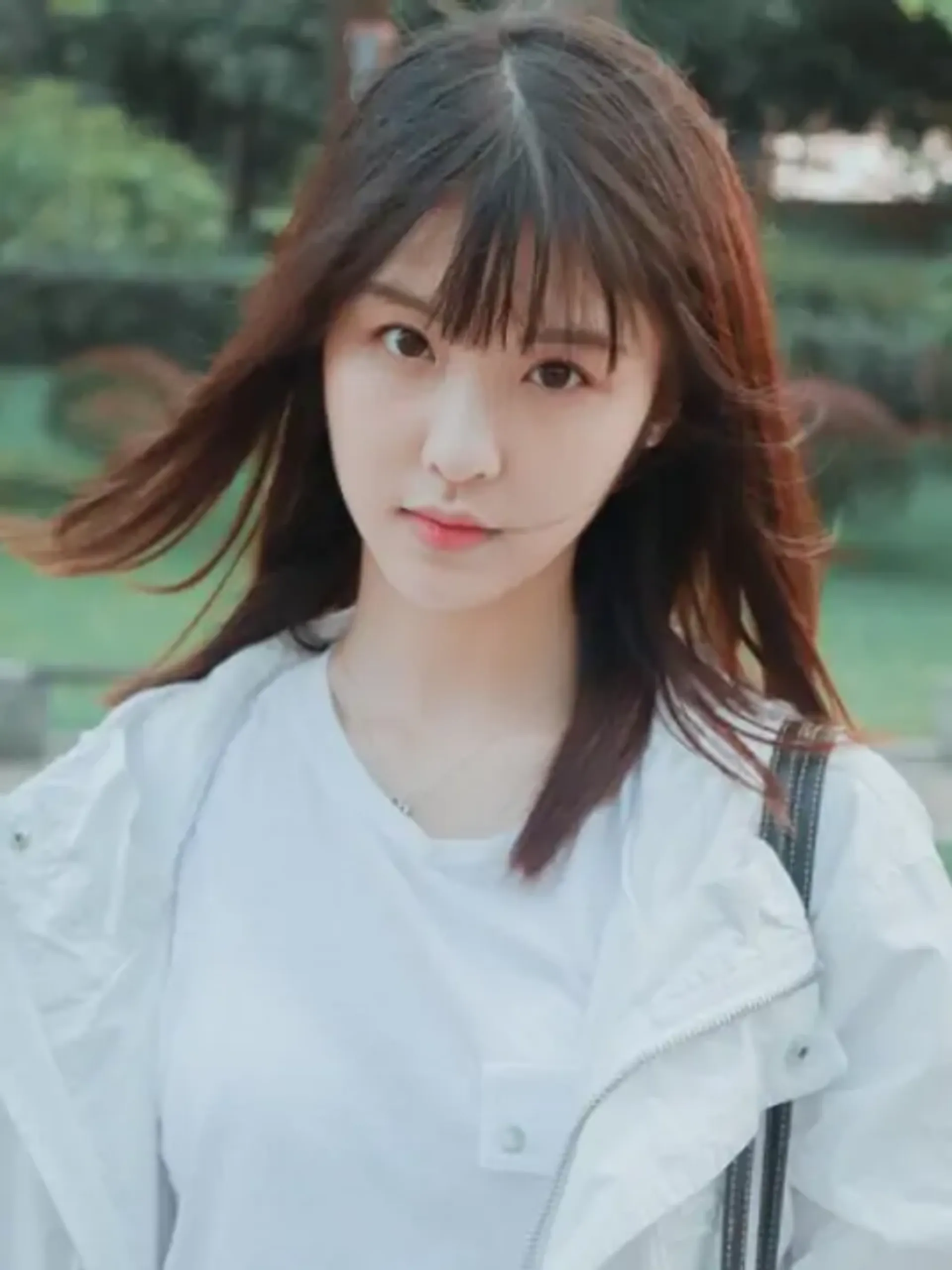 임흔의