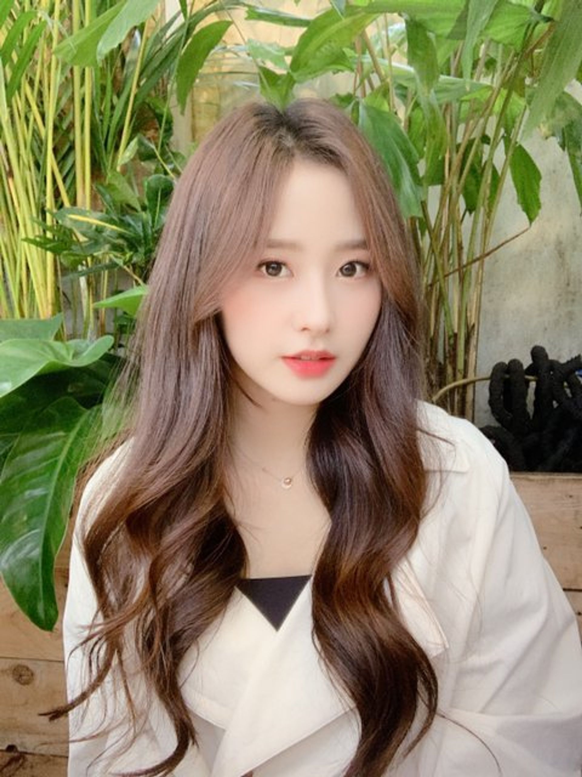 지안