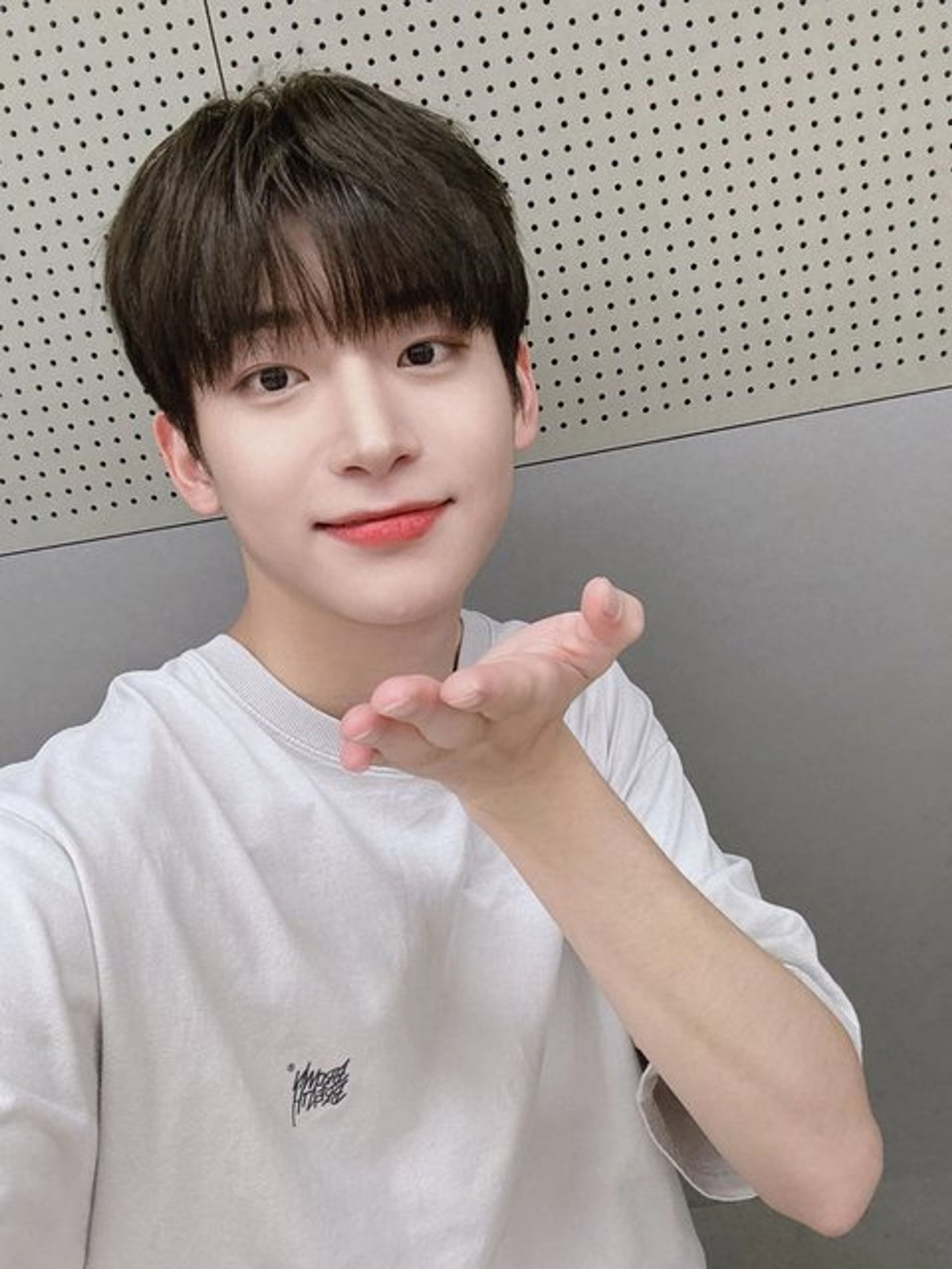 정모