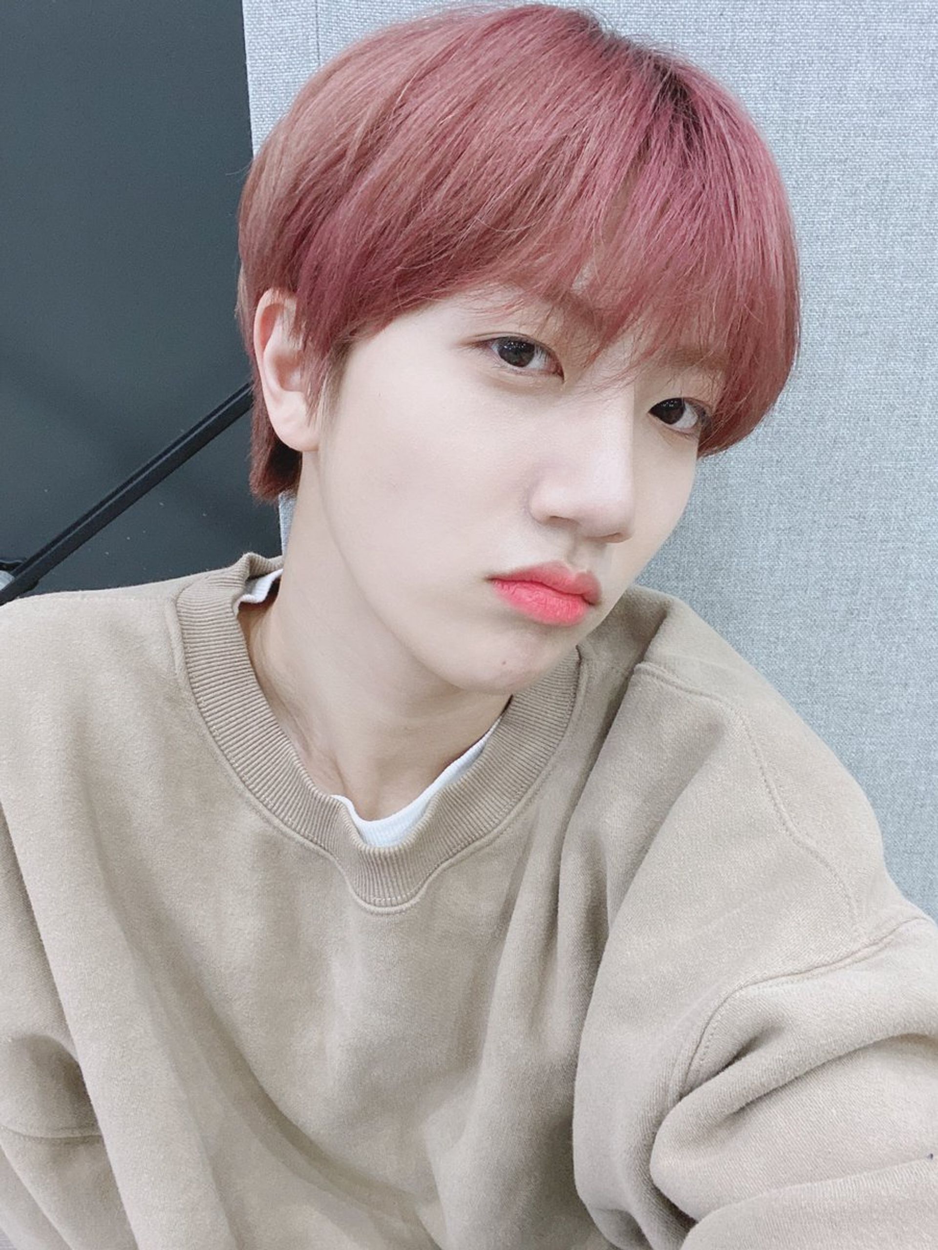 원진