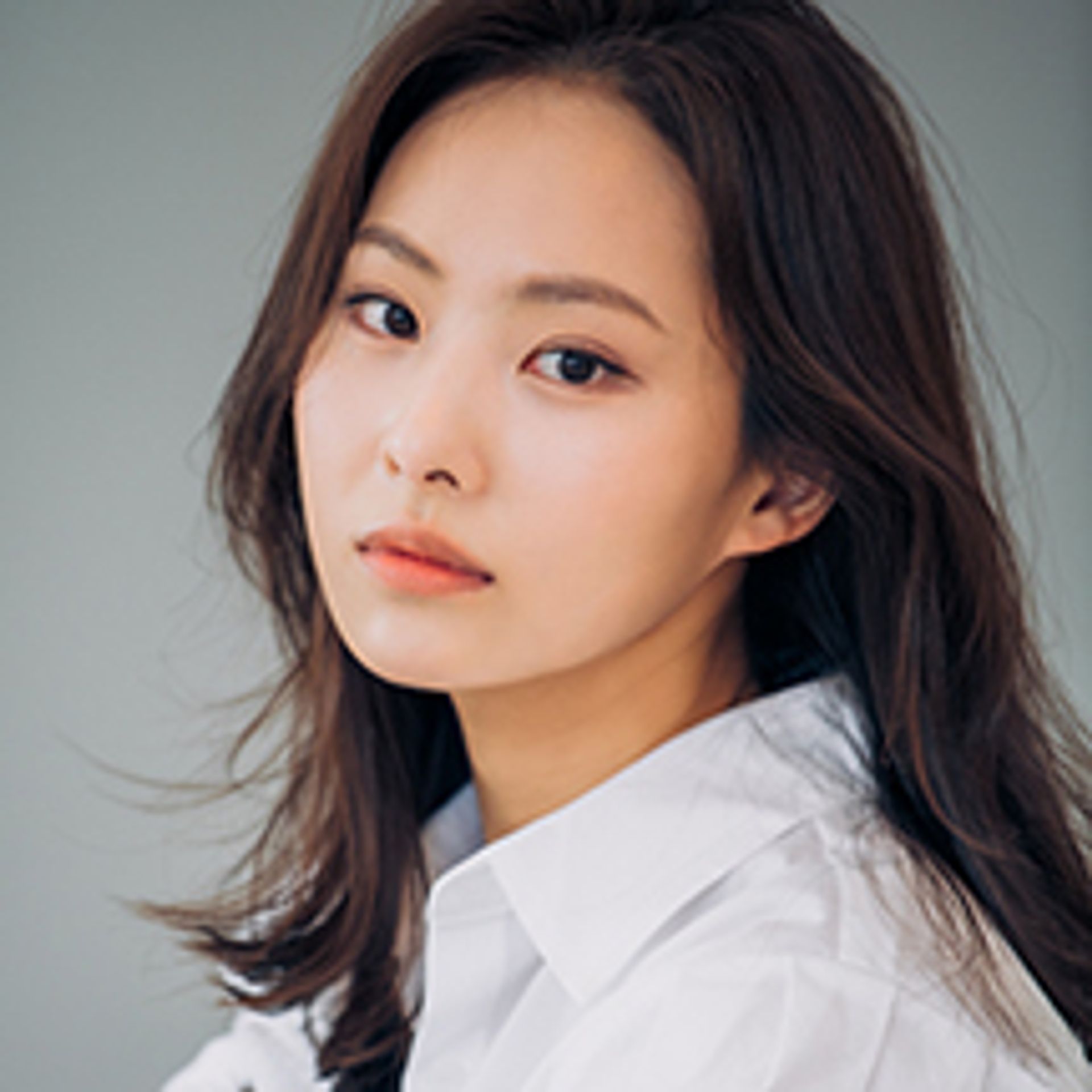 송지연