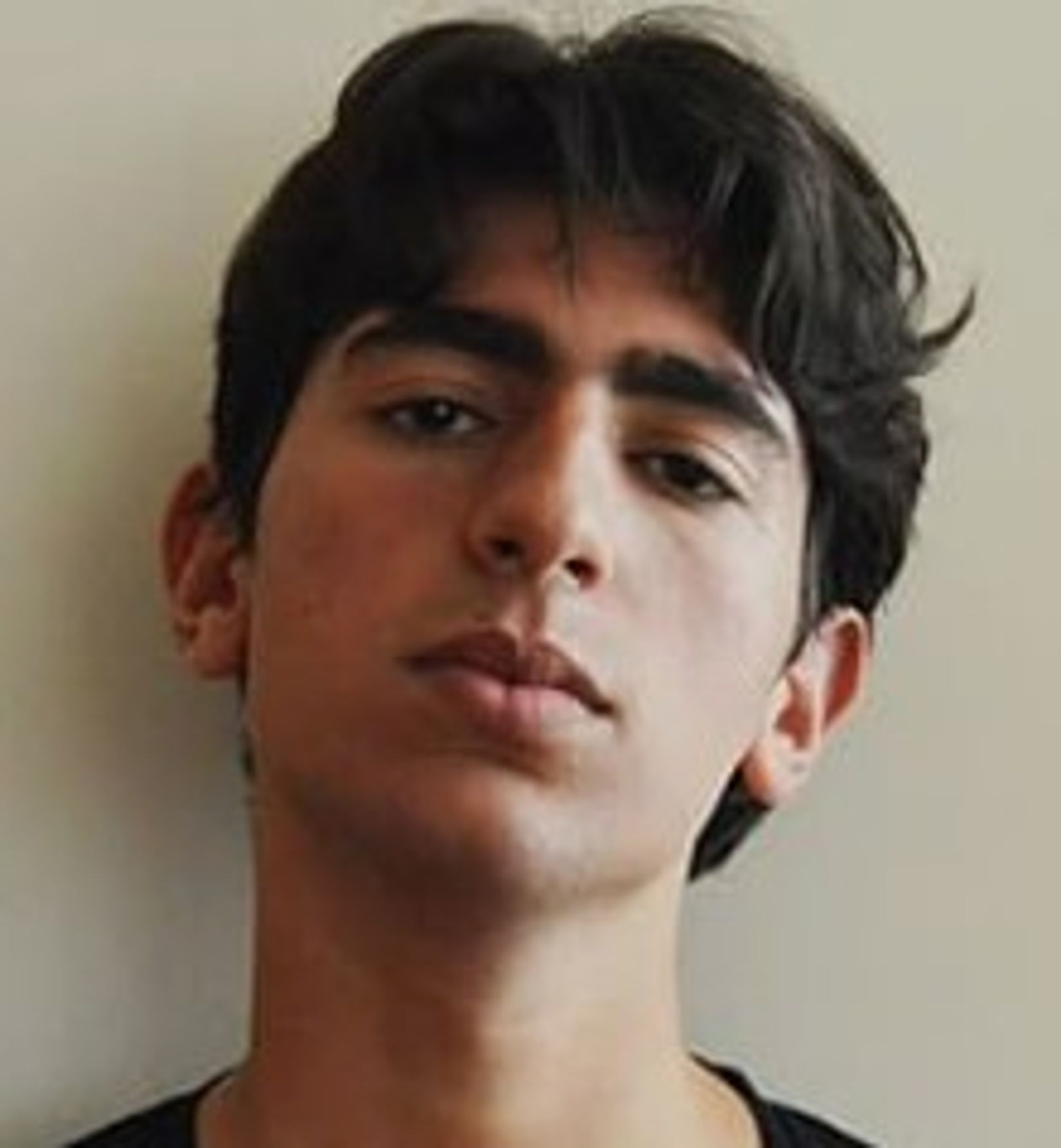 아담 가베이