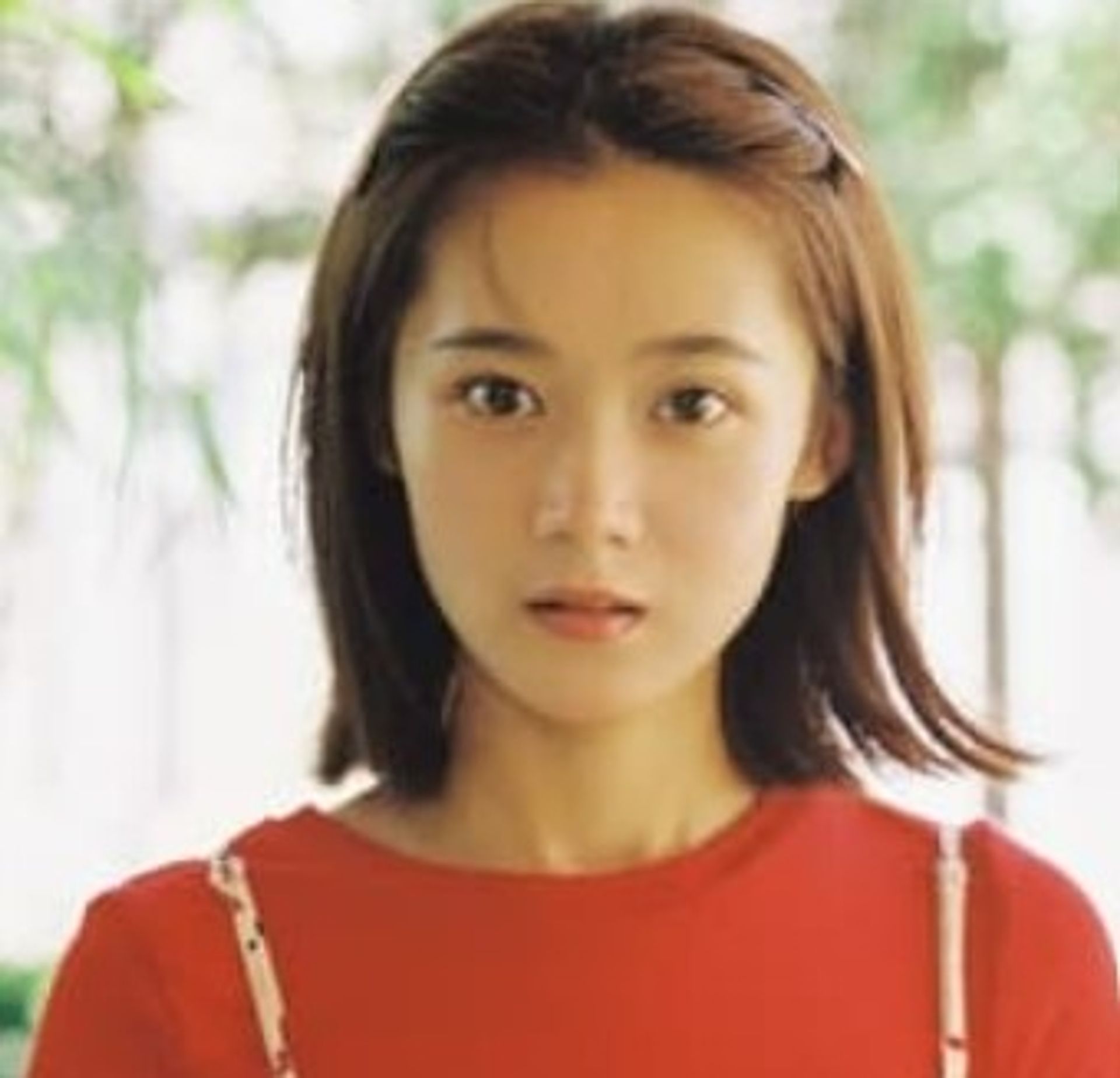 조추어
