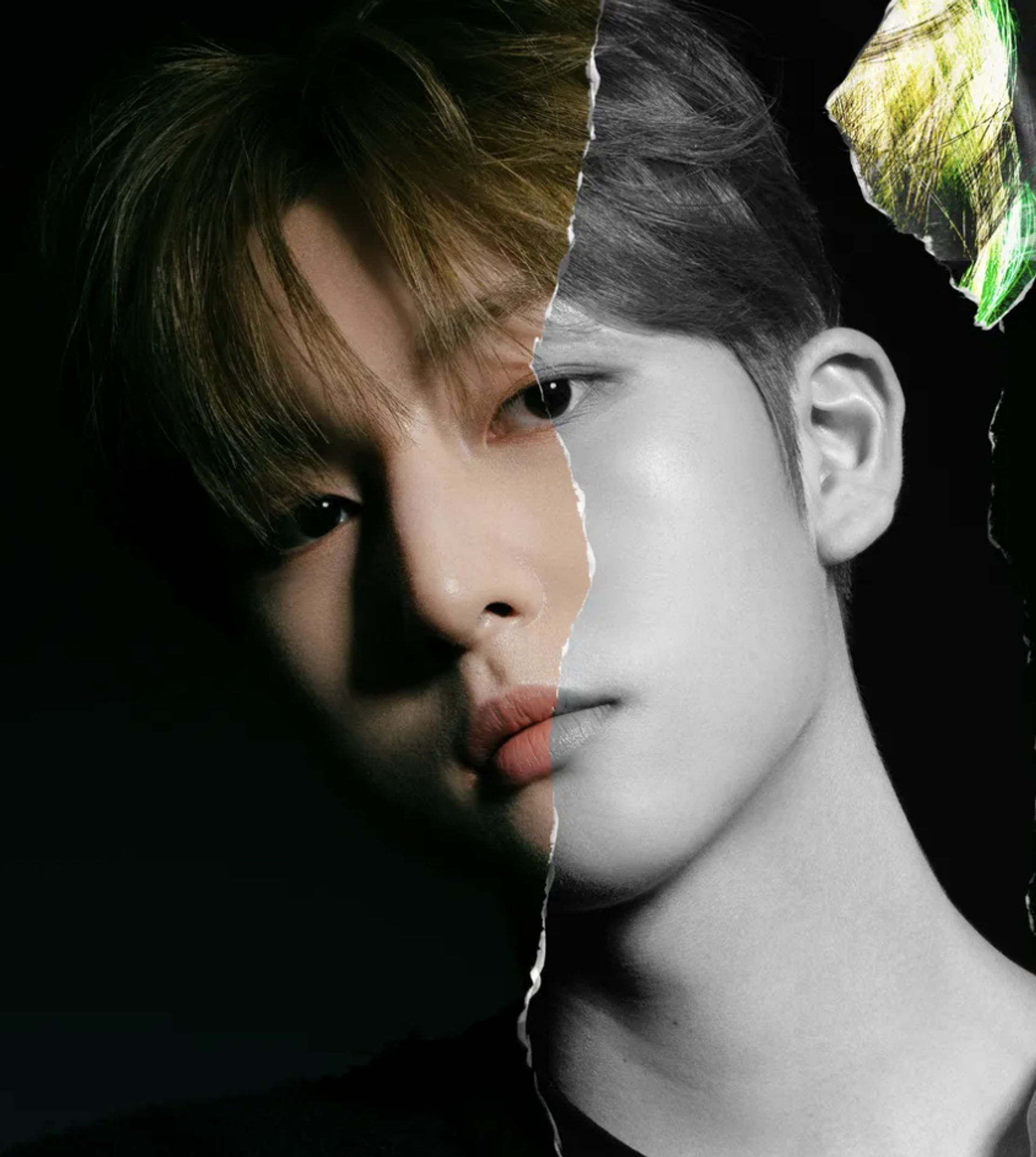 인홍