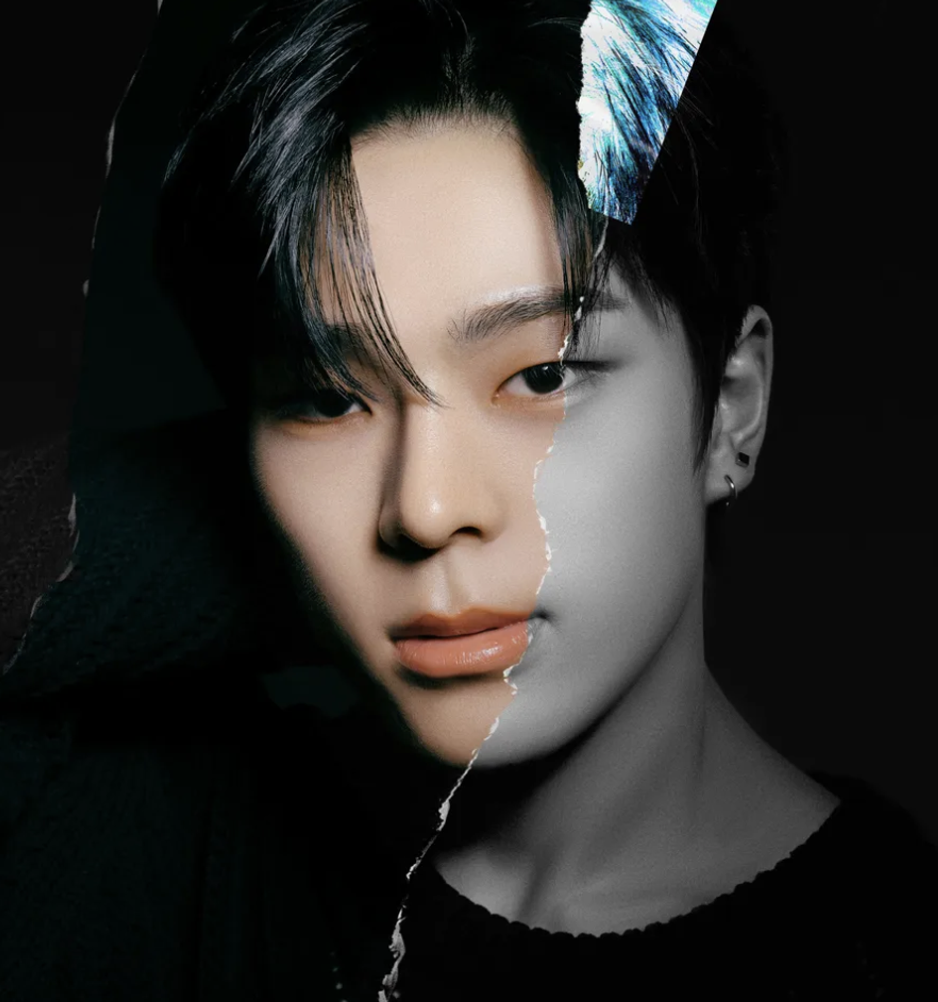 제이더
