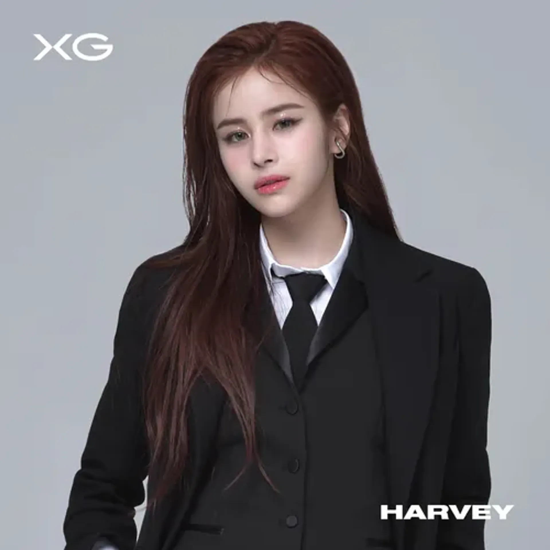 하비