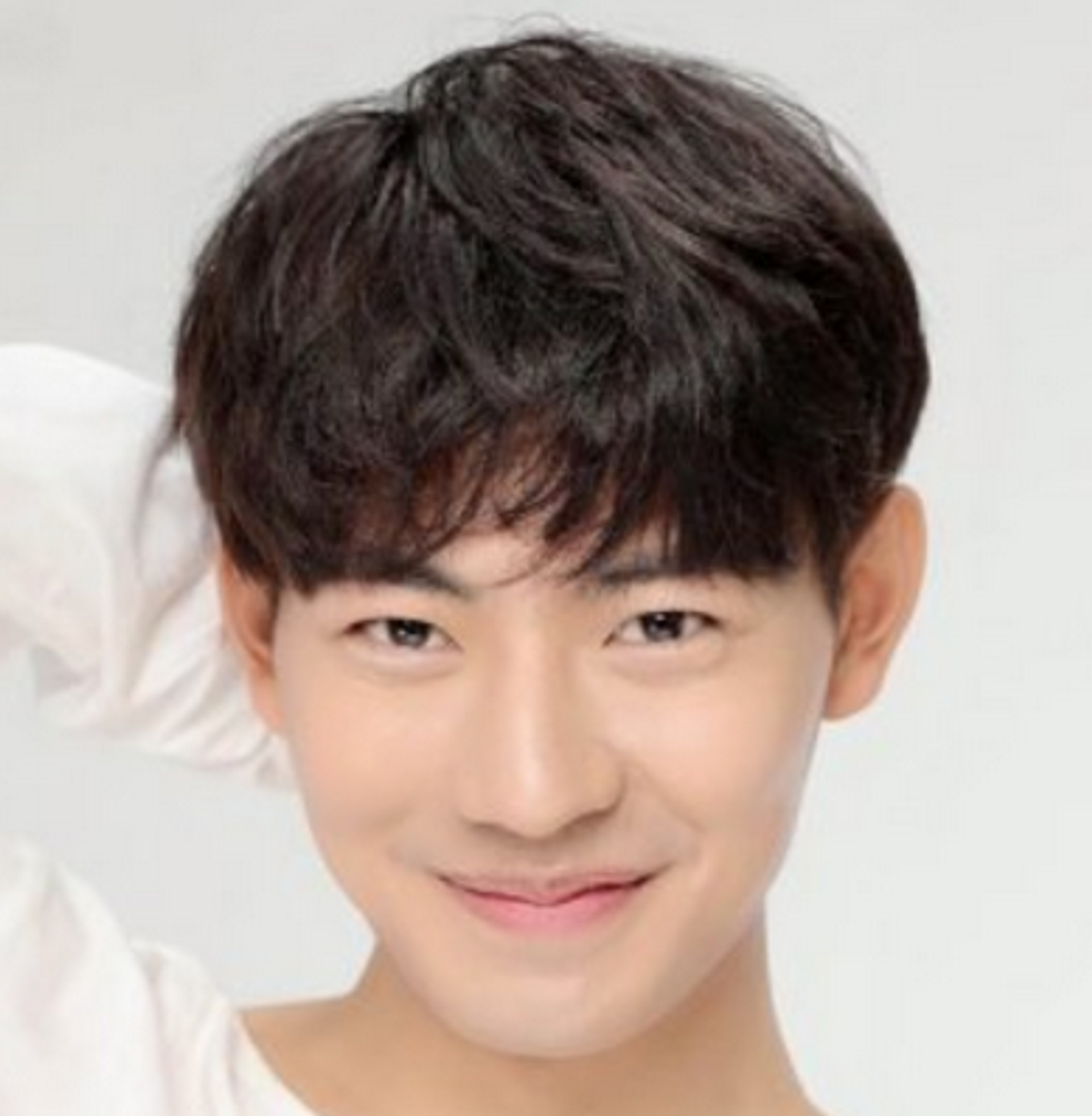 양의