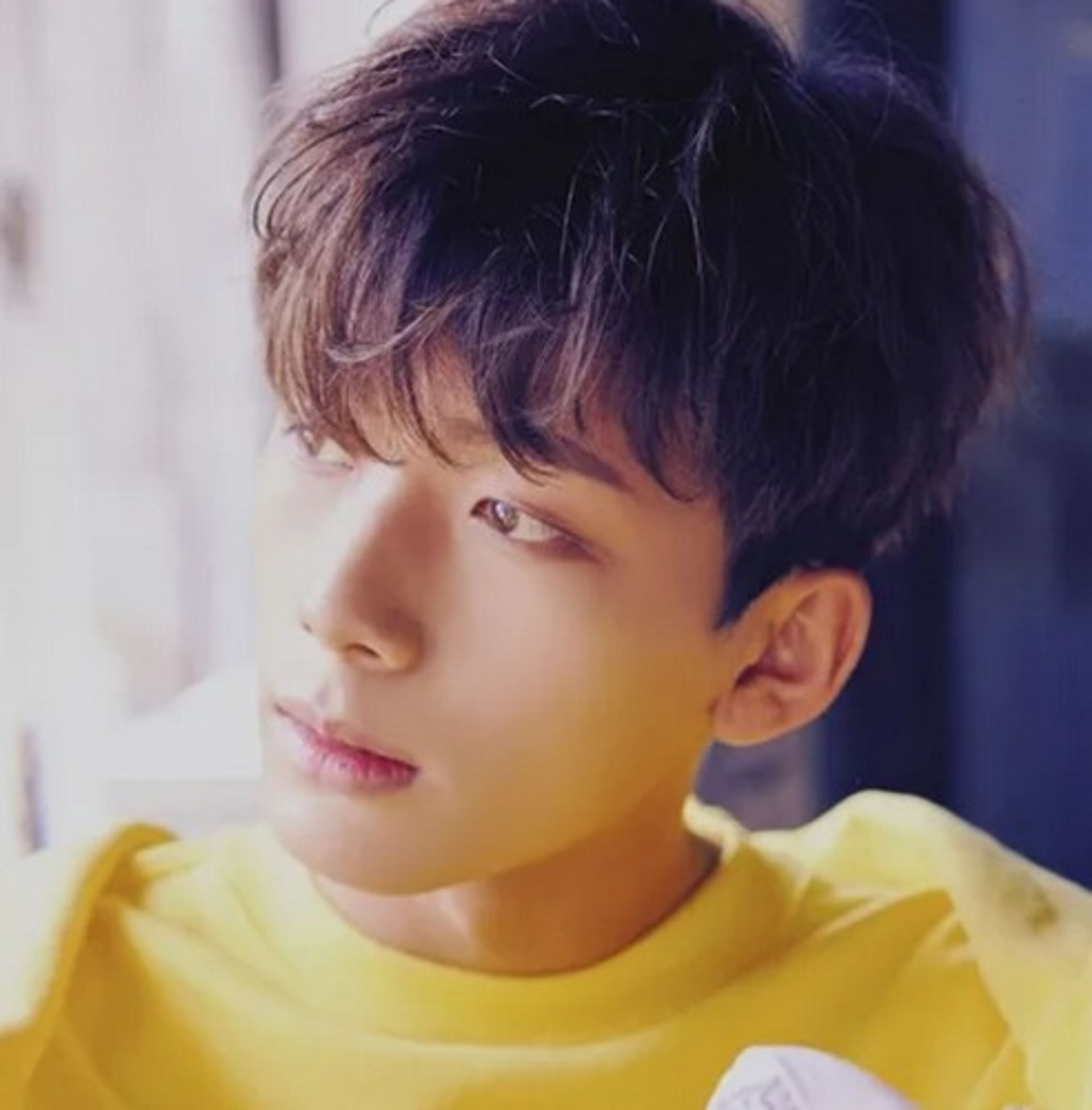 정택현