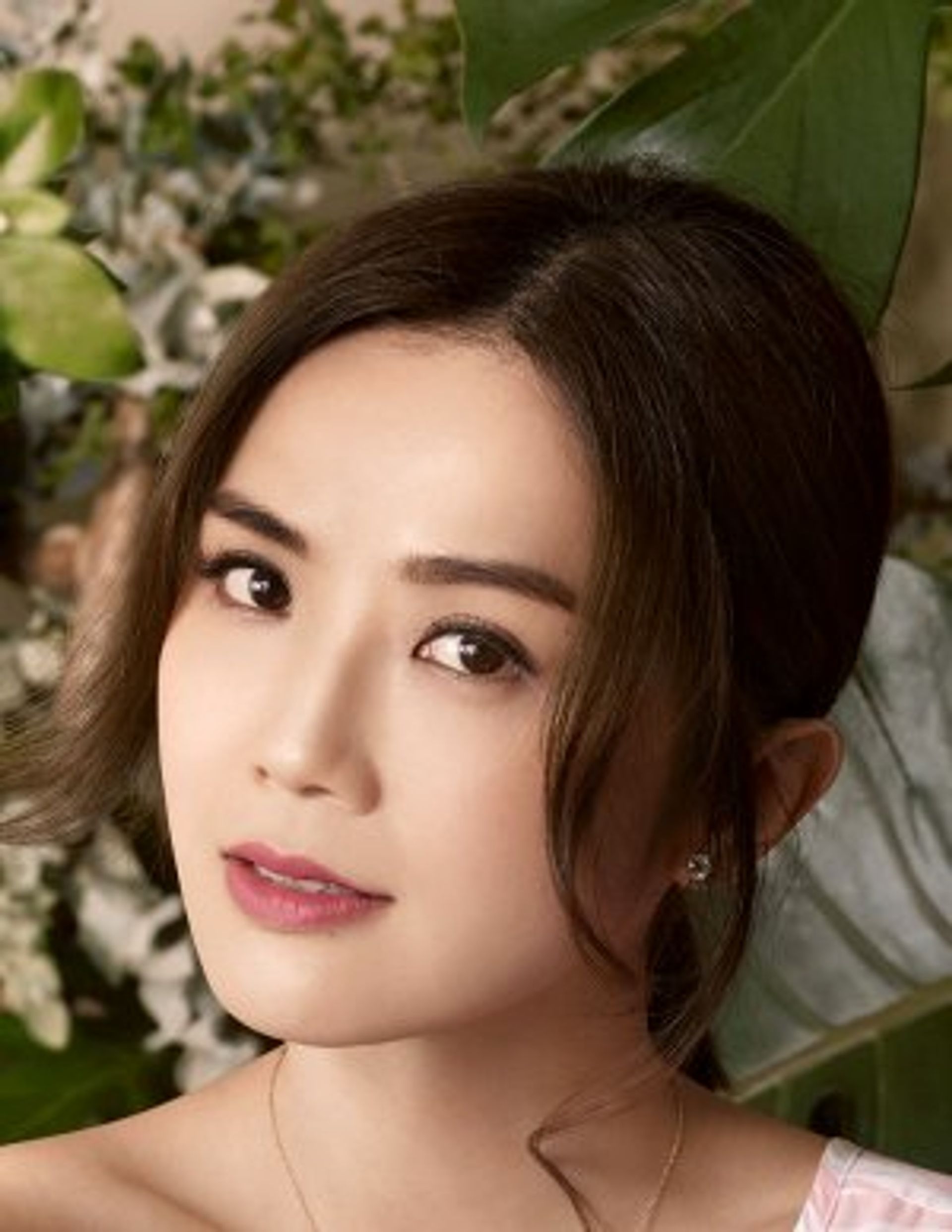 채탁연