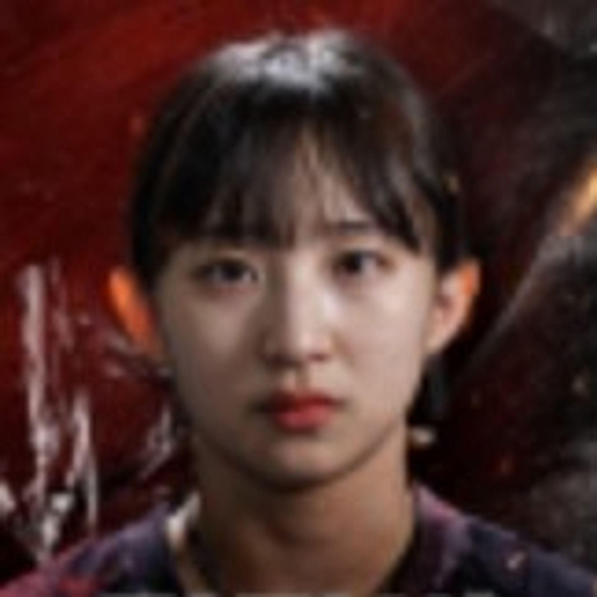 김담비