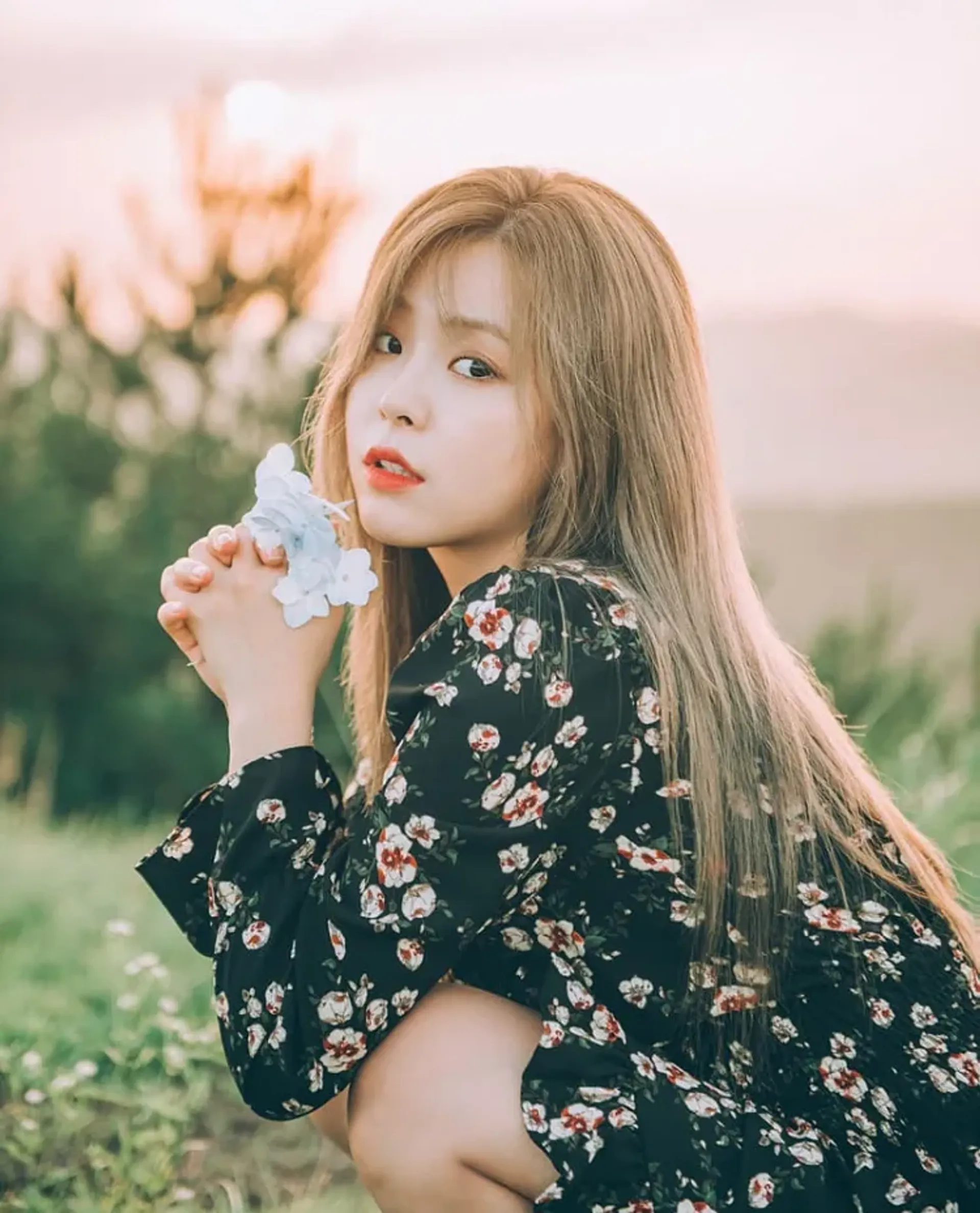 민주