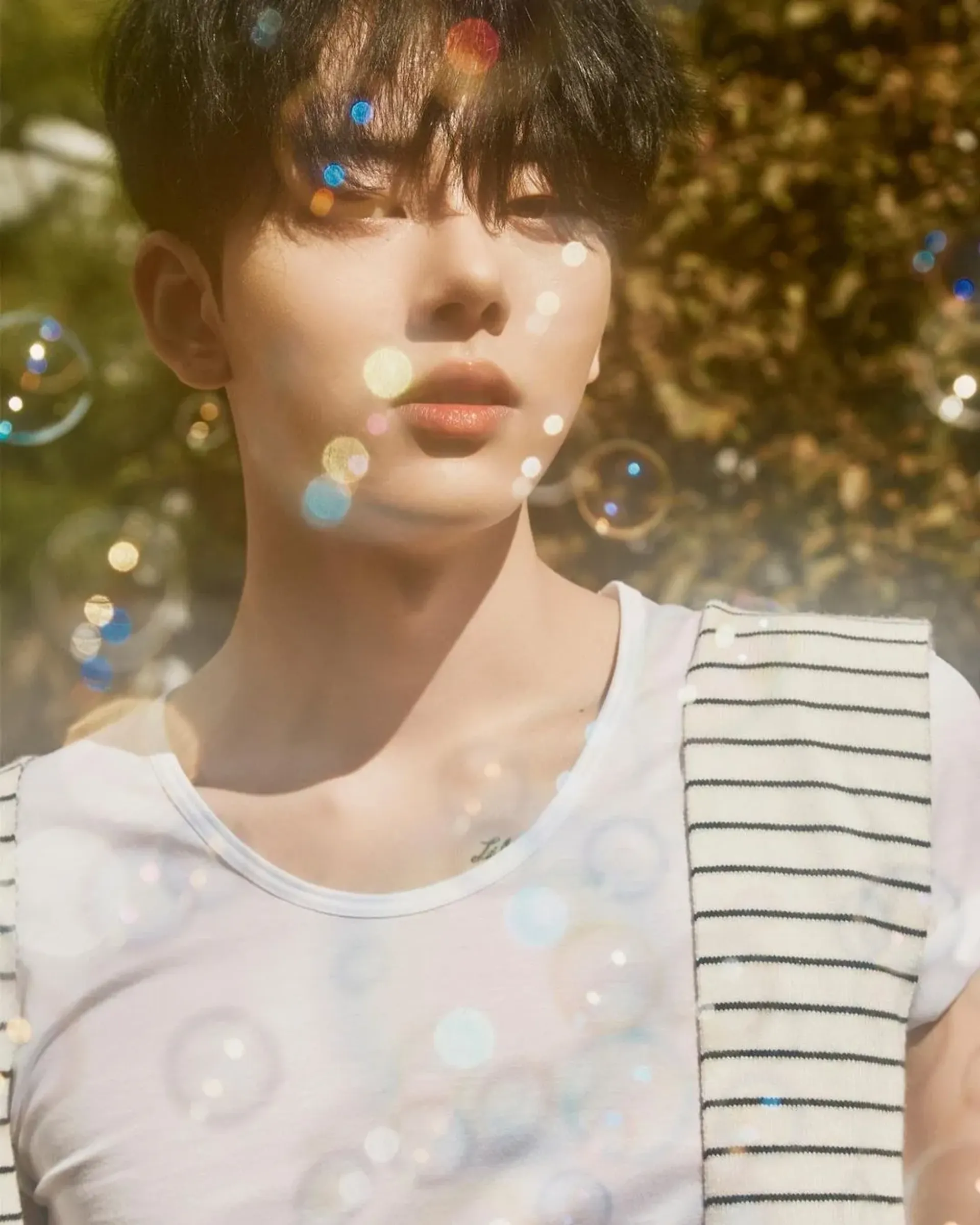 이정현