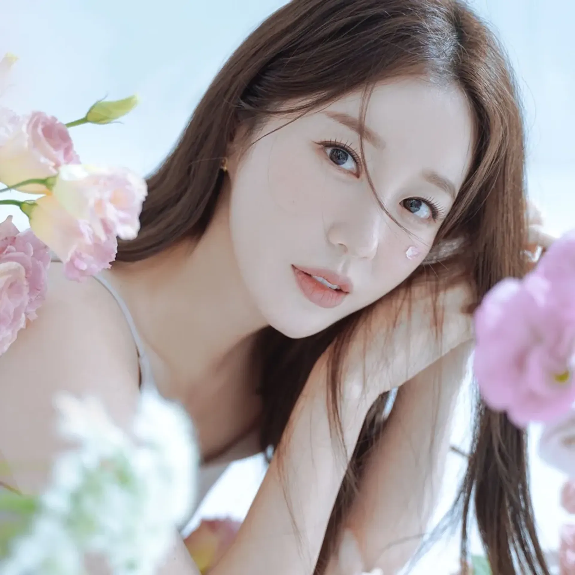 나비