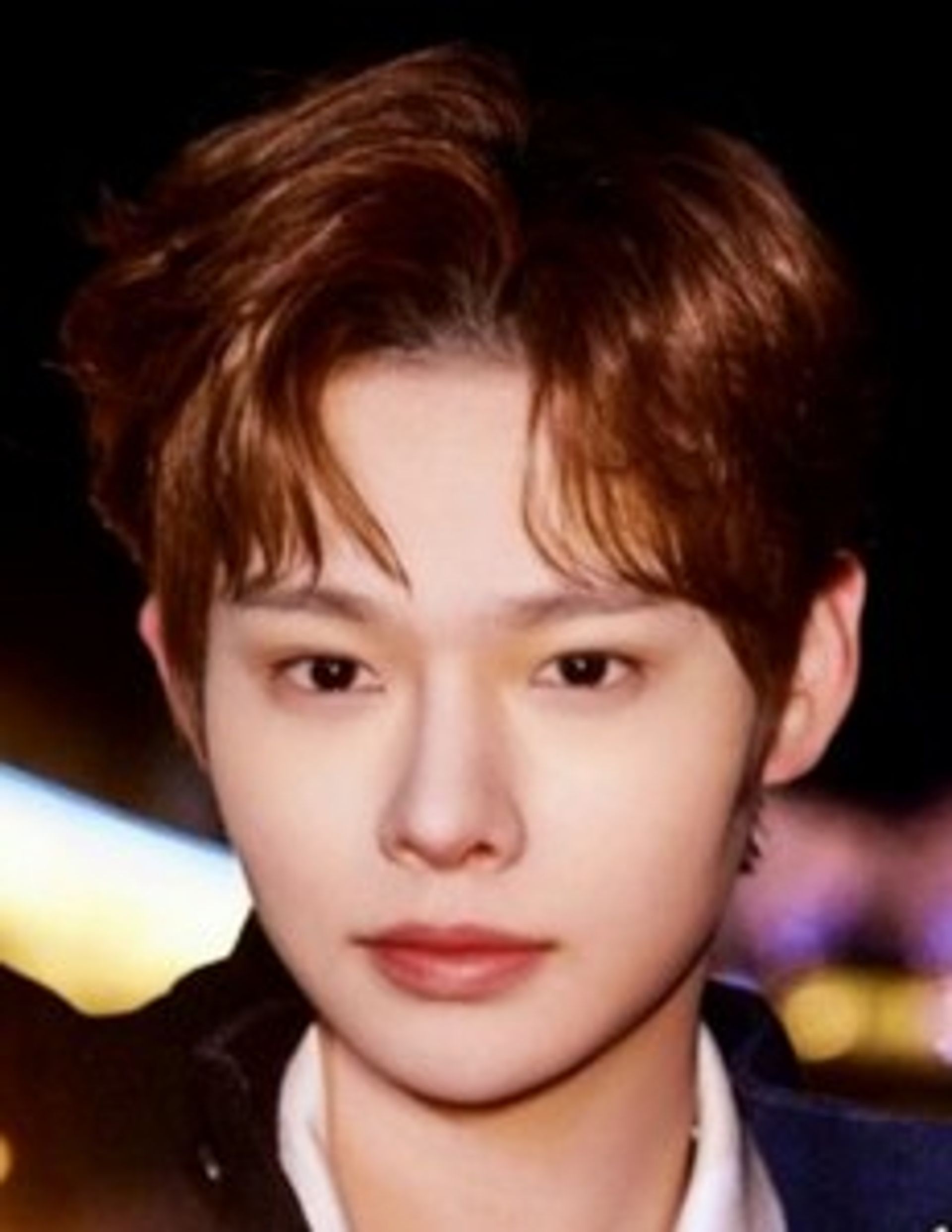 서일범