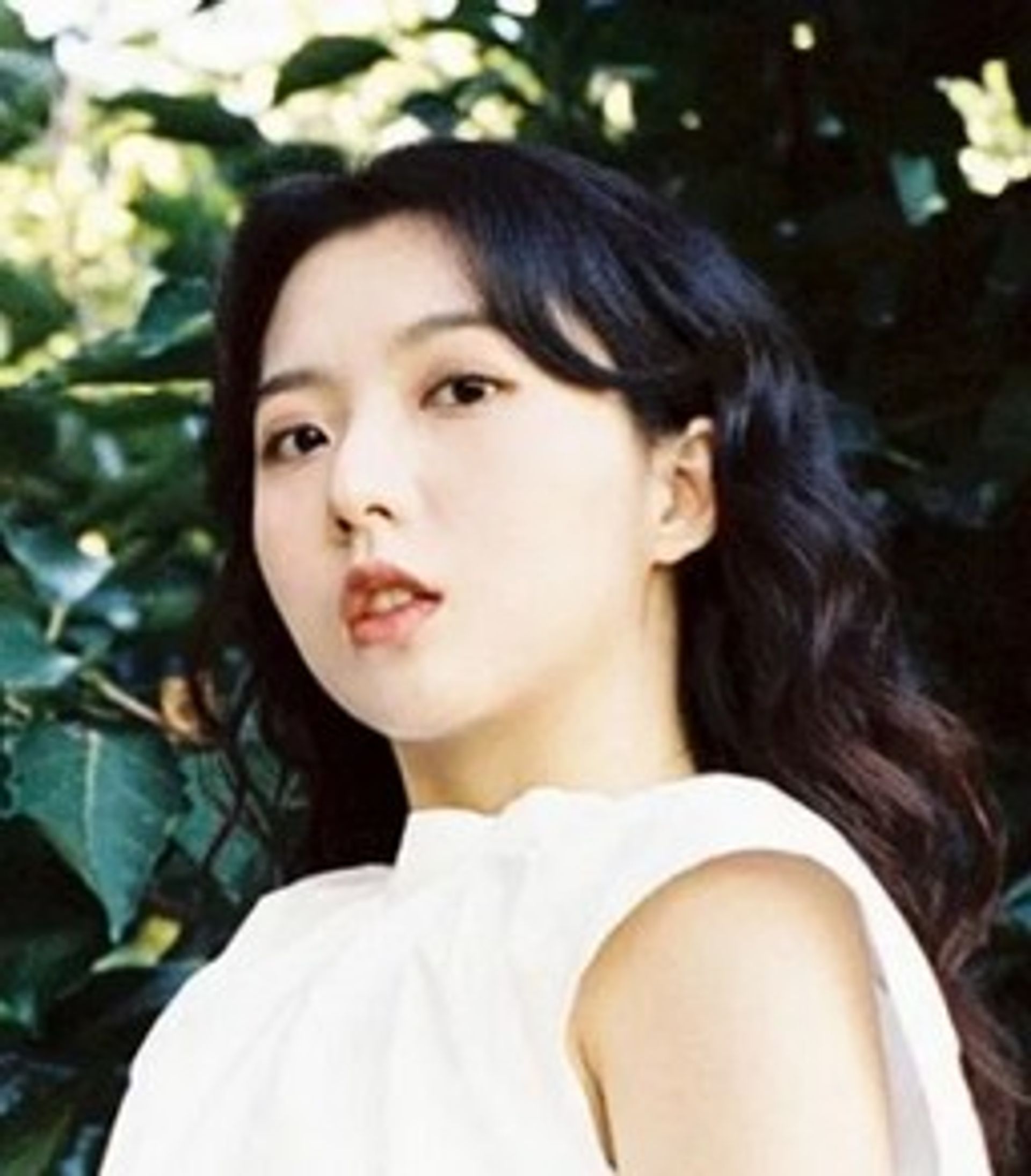 스텔라 장