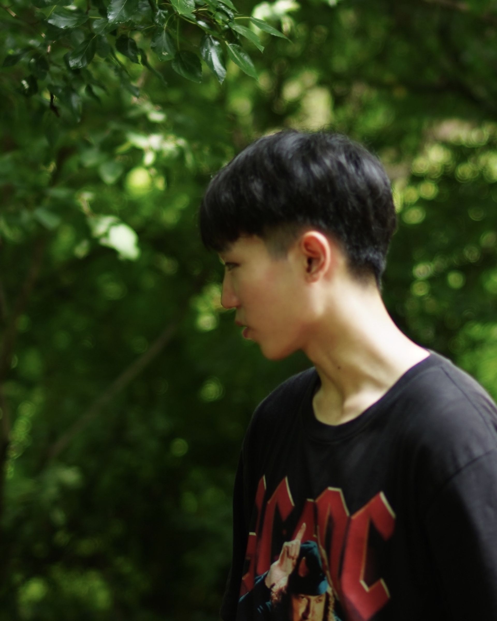 박체홍