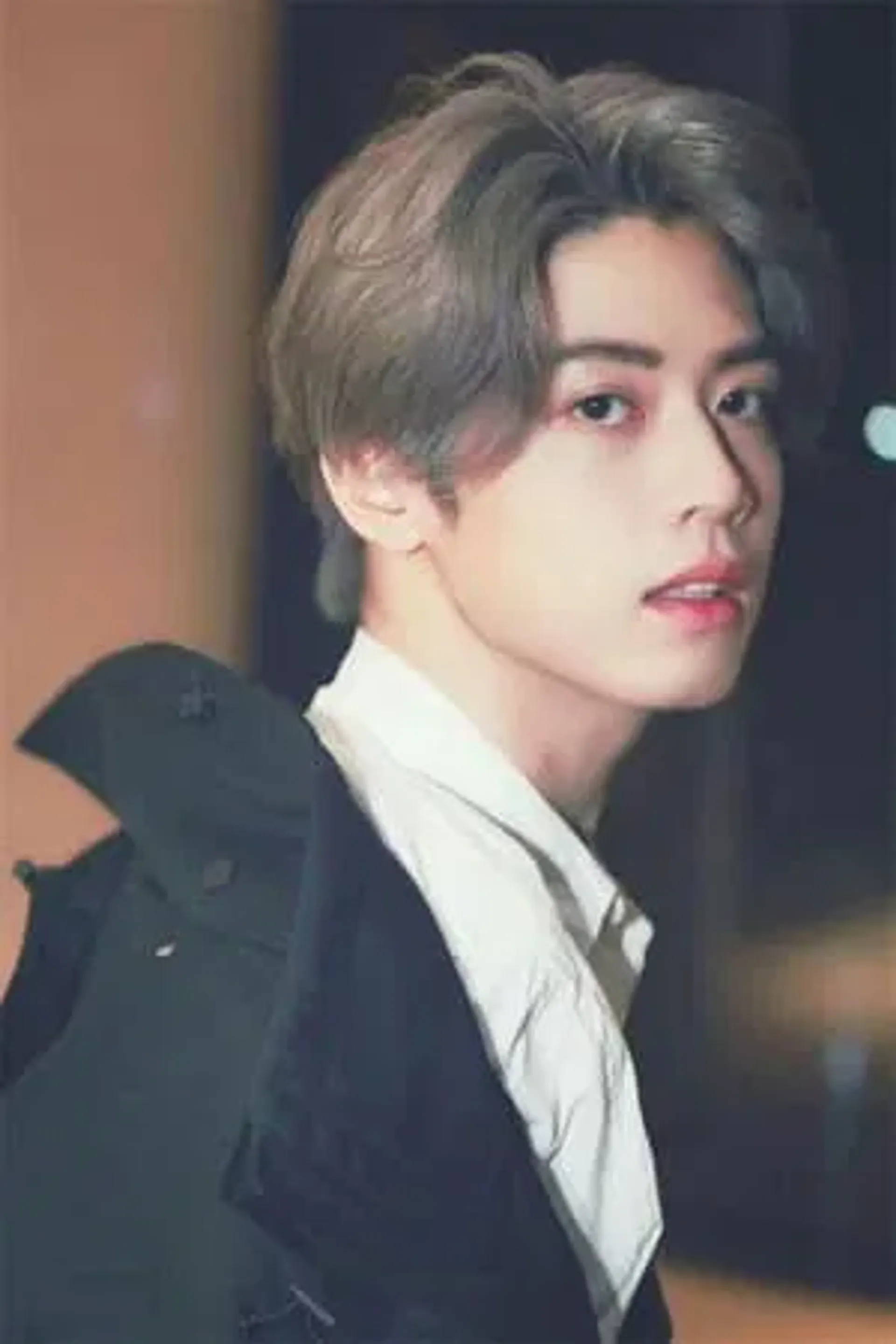 진자묵