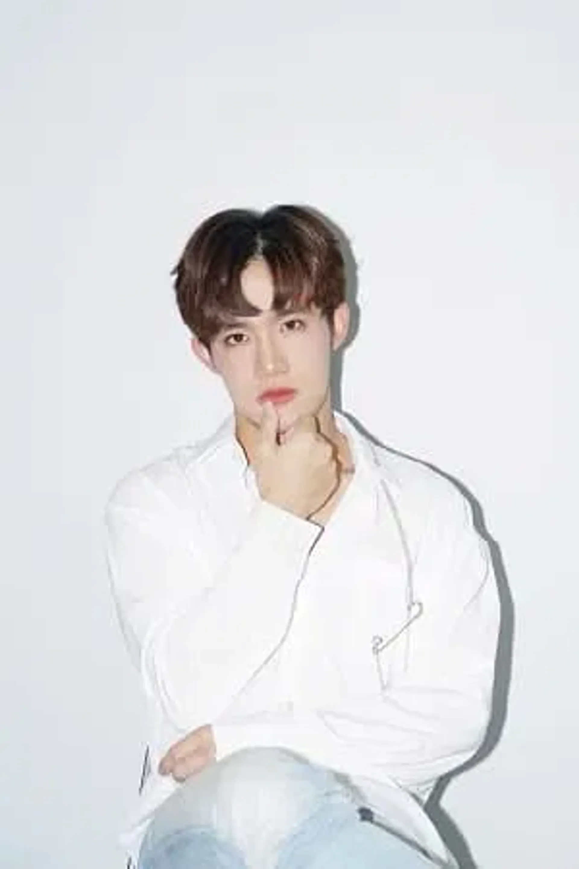 서프라이즈 피티콘 시리폰손