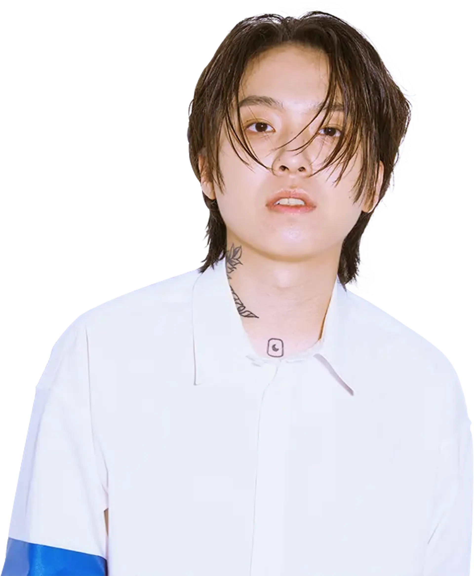 해쉬 스완