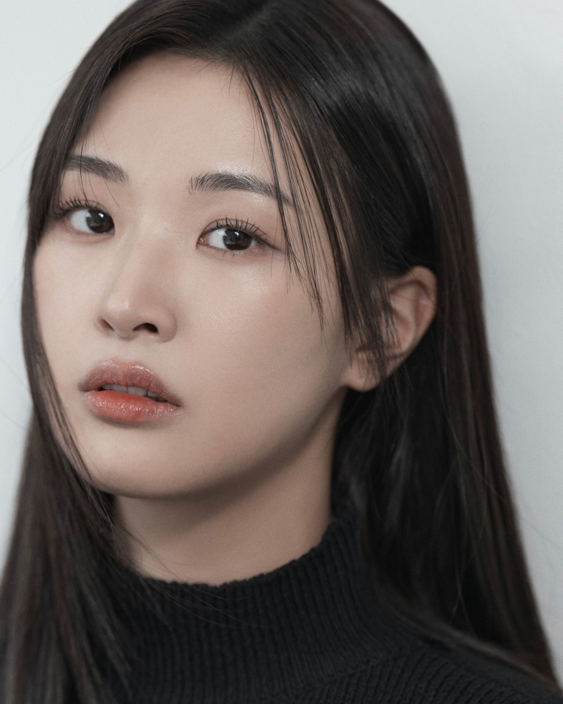 정세비