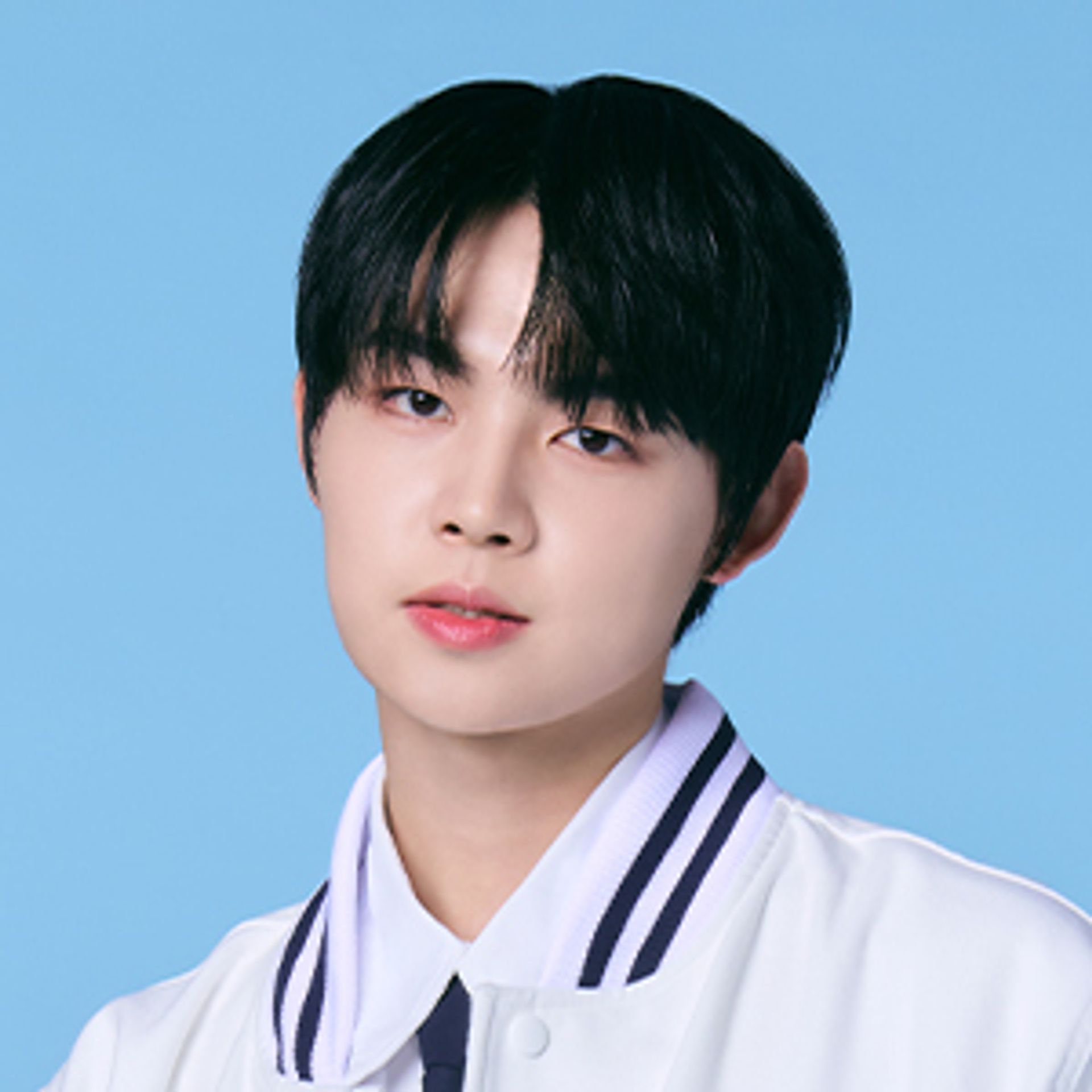 로이스
