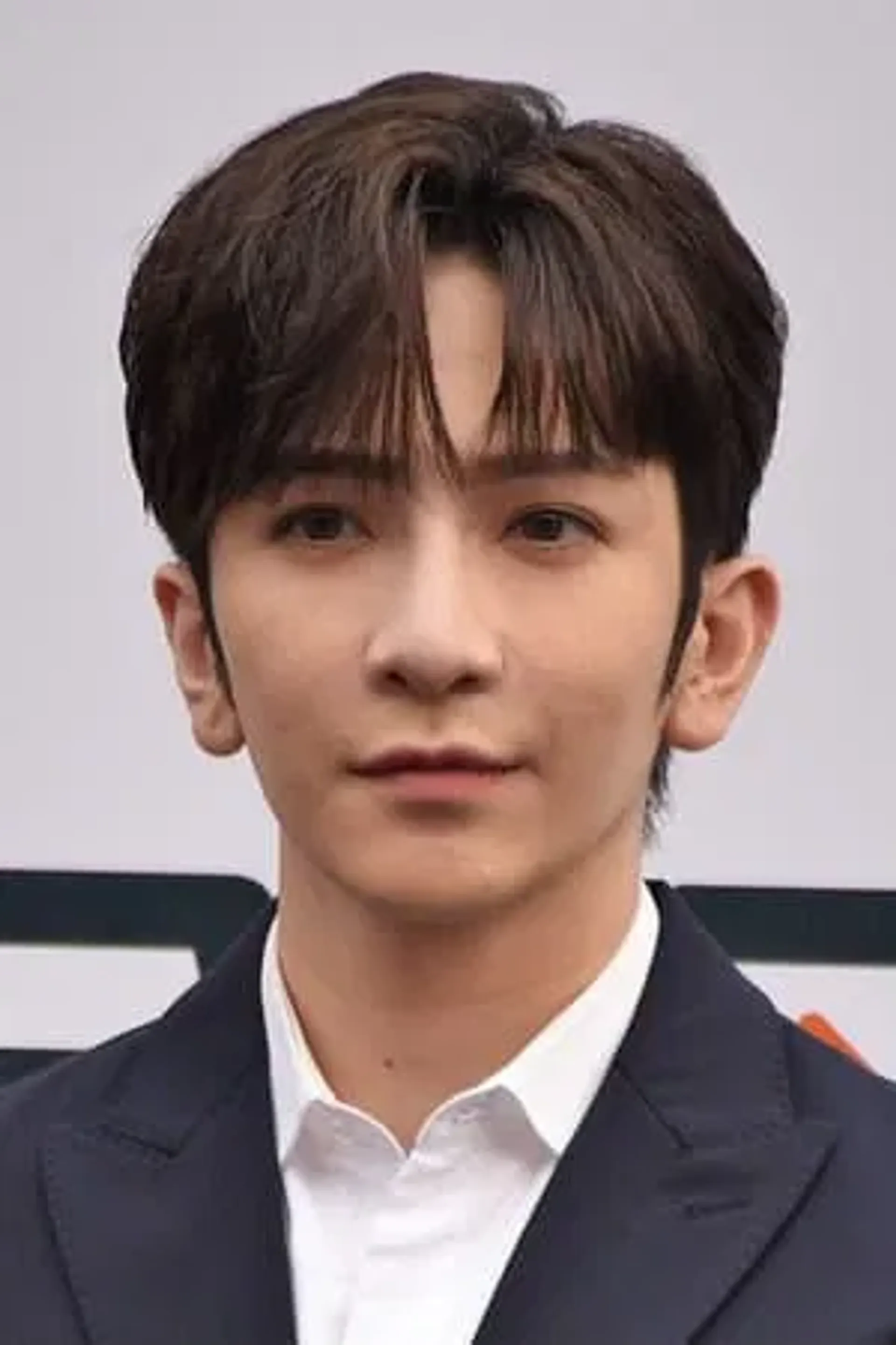 로한정