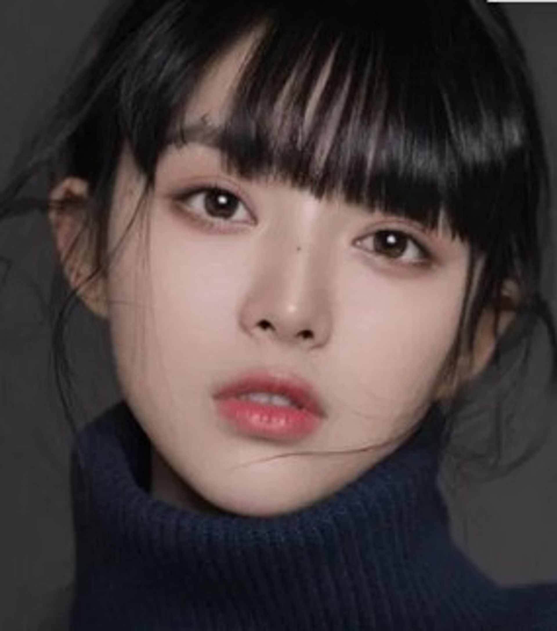 료혜가