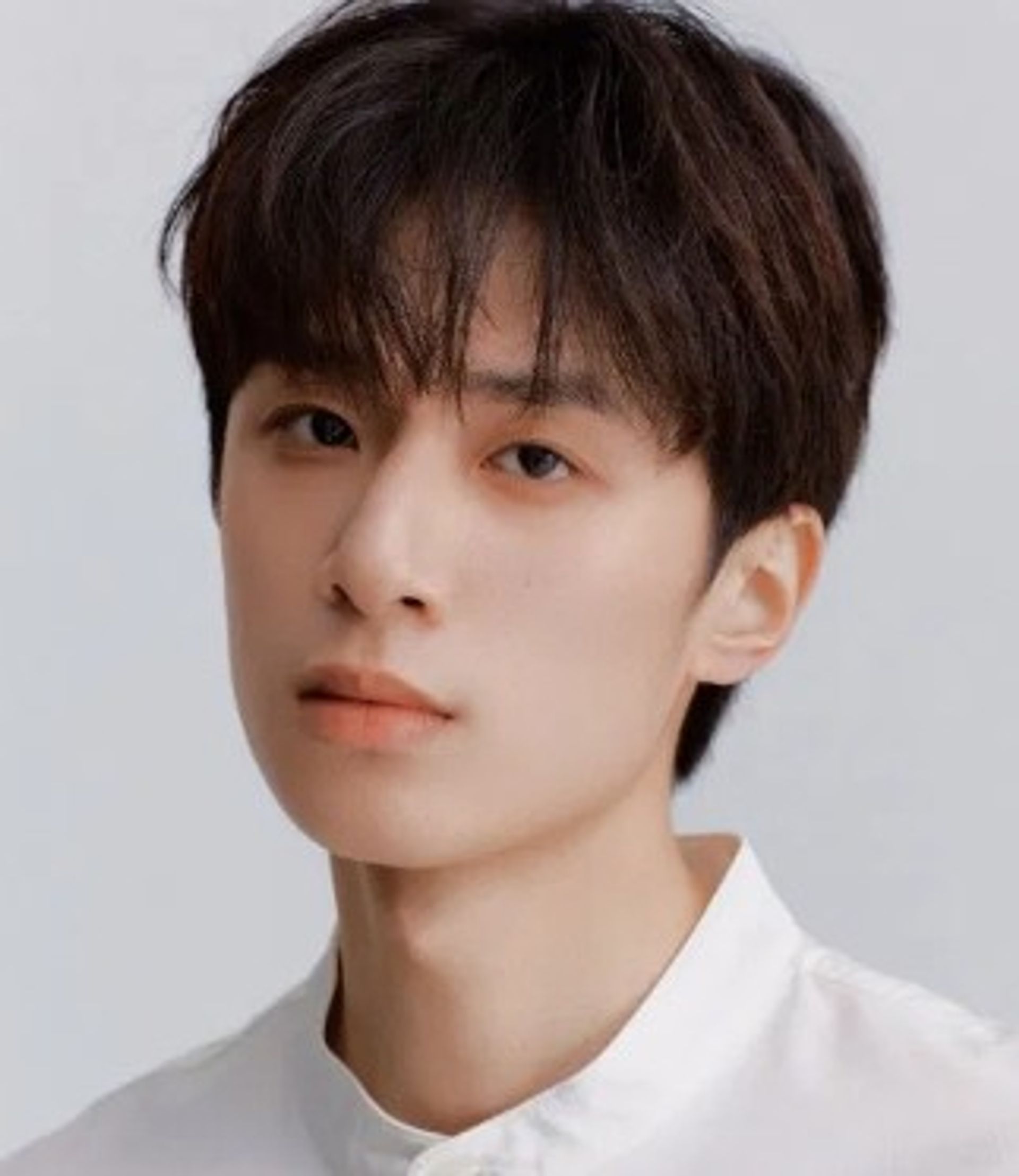 진성형