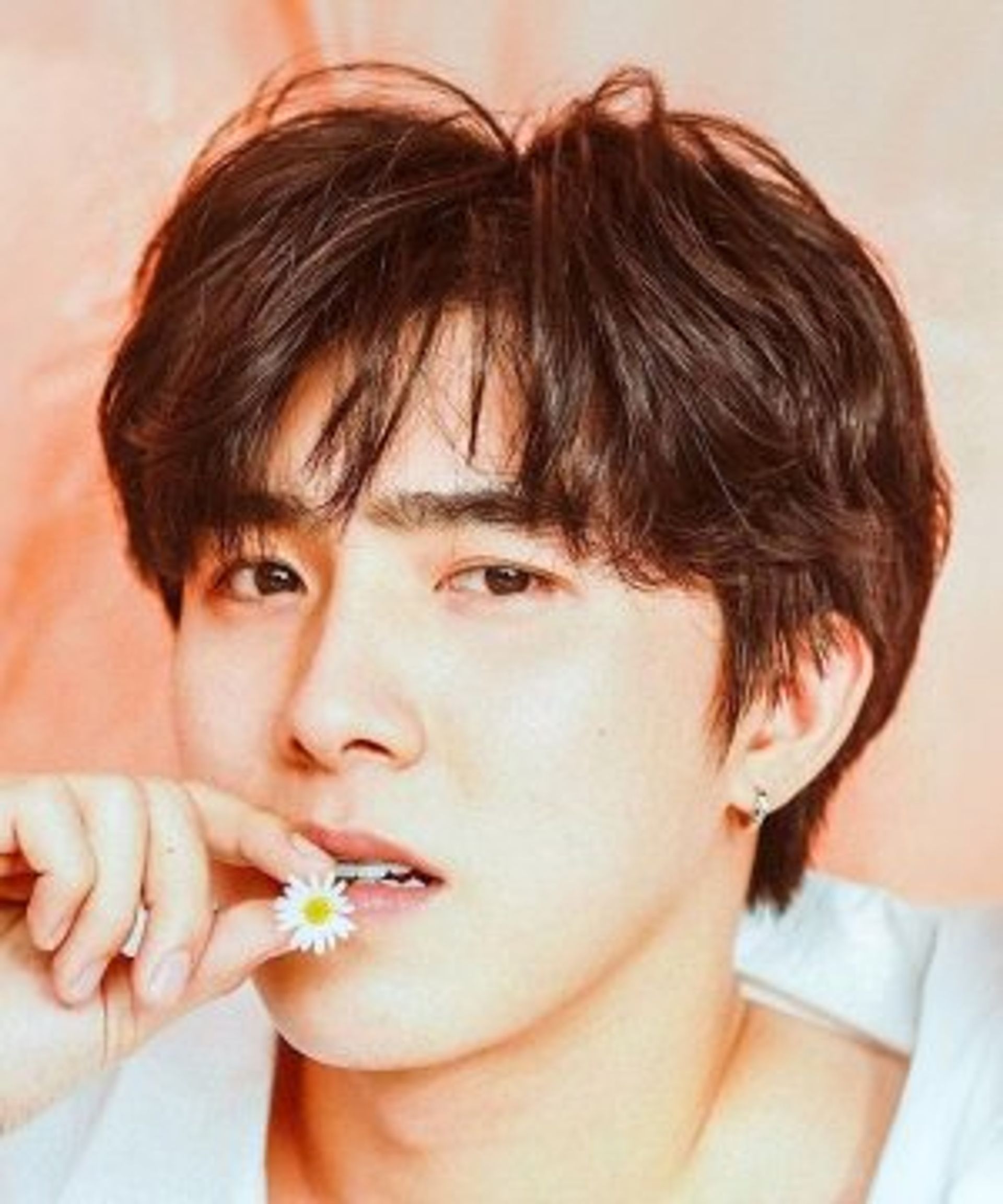붐 라위윗 지라퐁카논