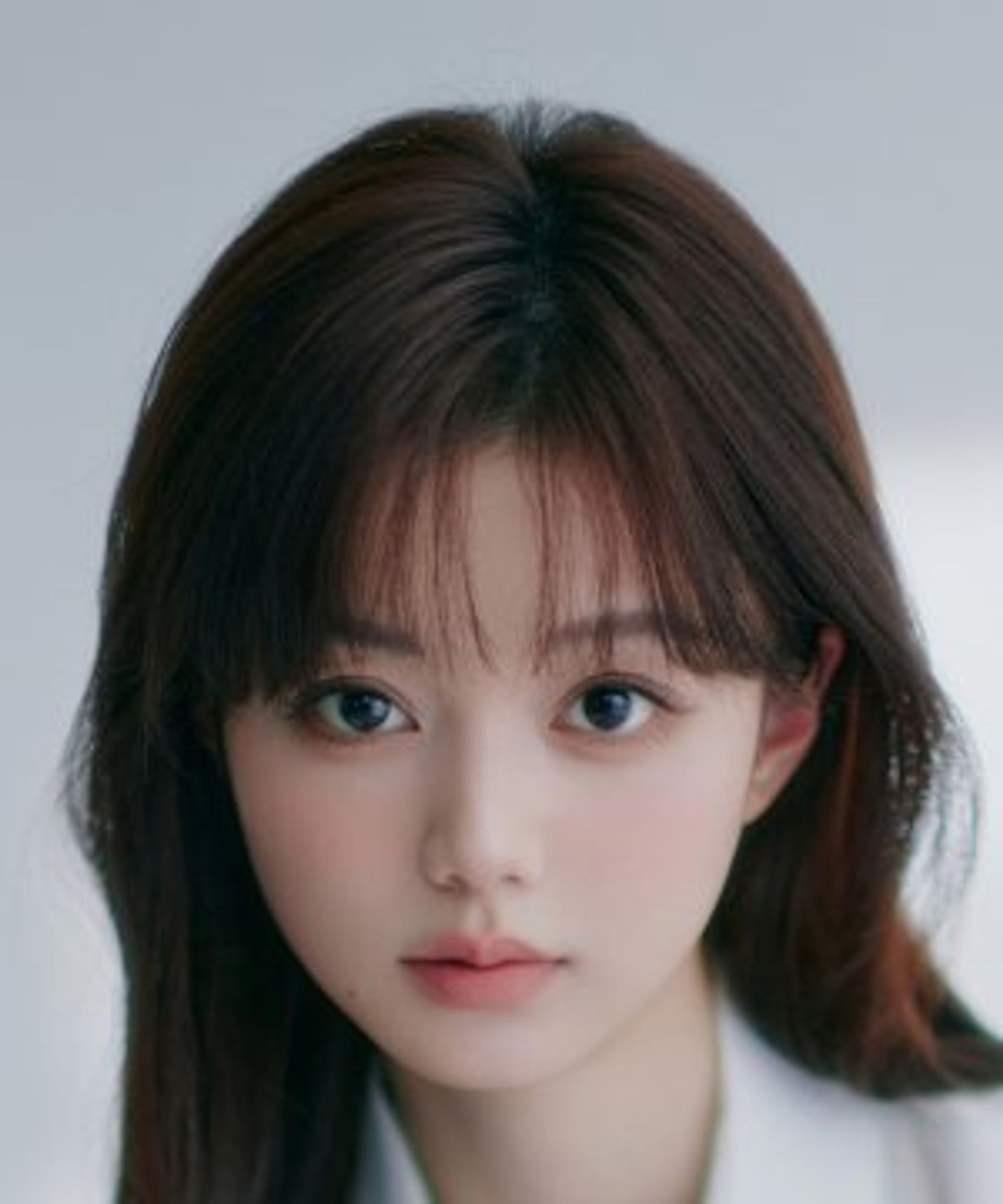 진사예
