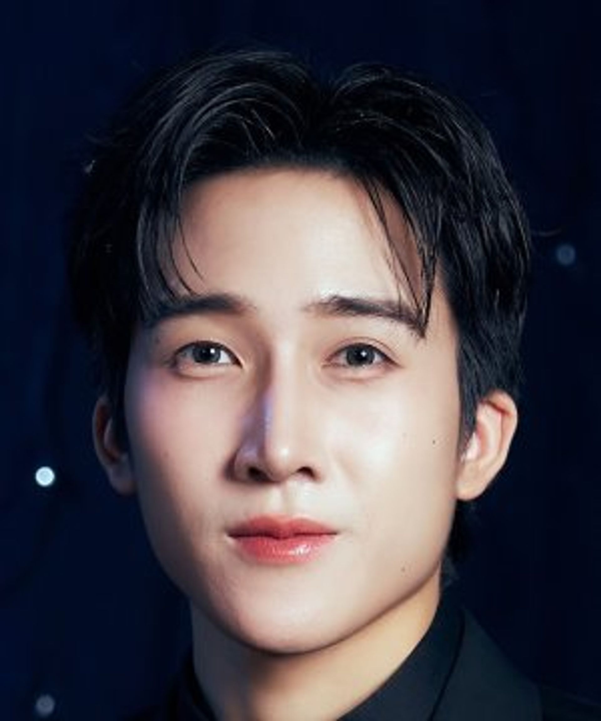 판 부민트르 생감
